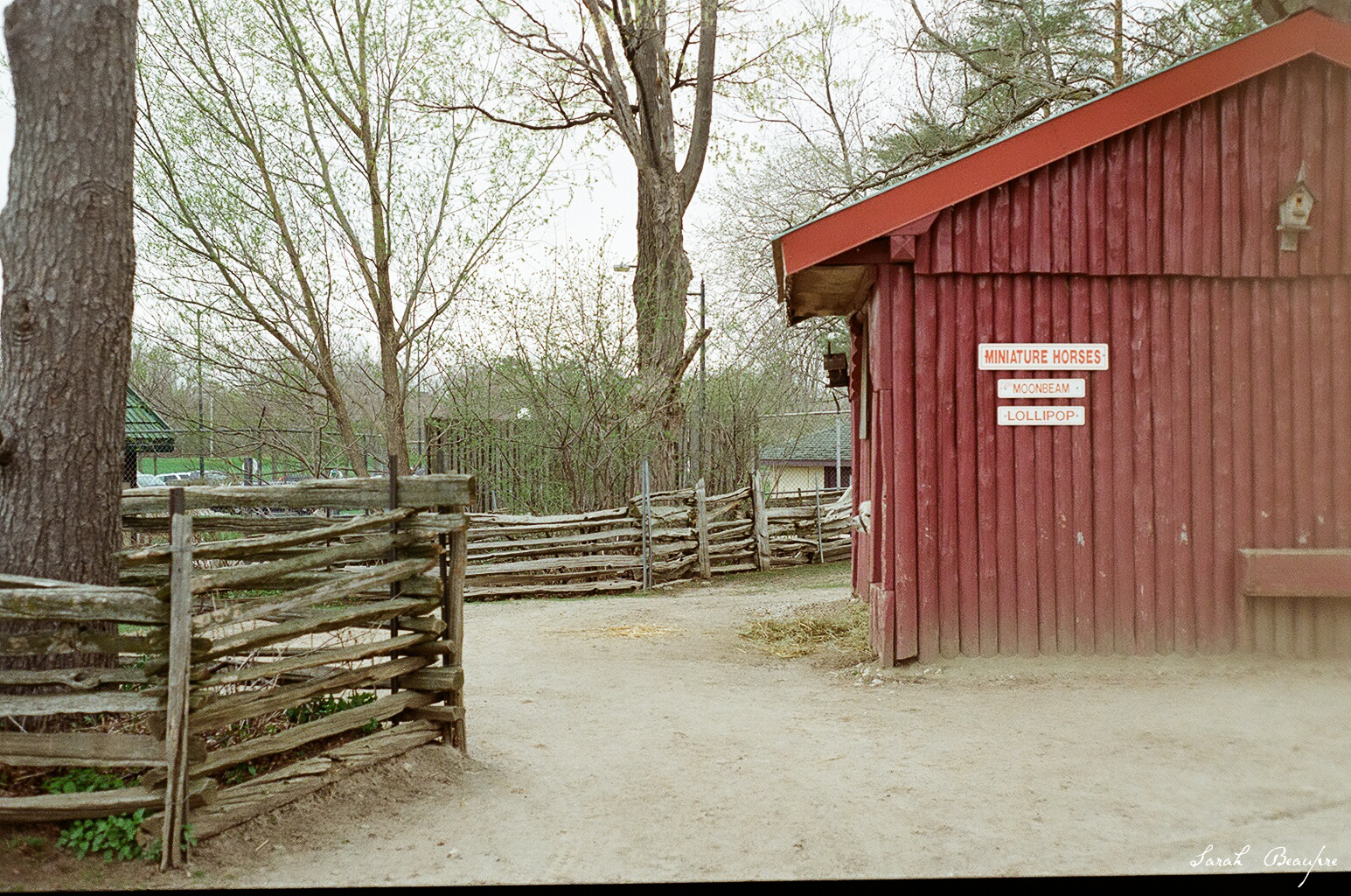 Waterloo Park - Mini horse barn