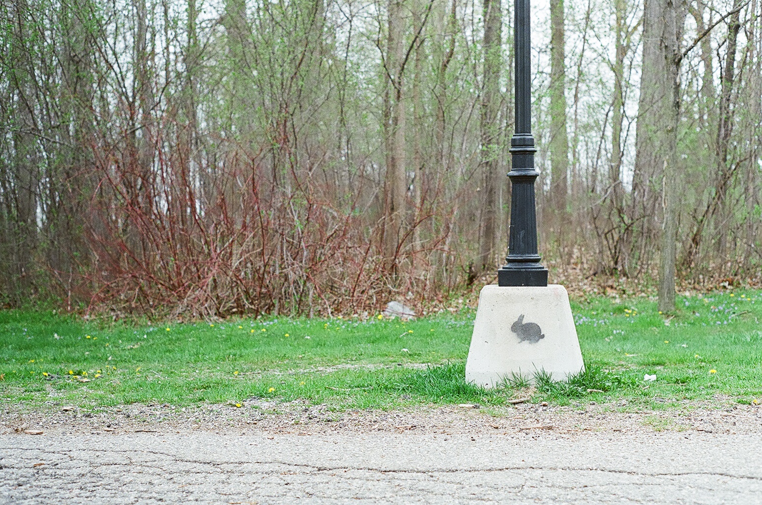 Waterloo Park - rabbit lamp post