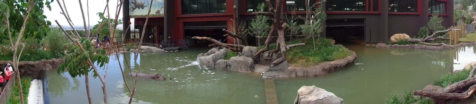 Water's Edge Africa -- Hippo Pool