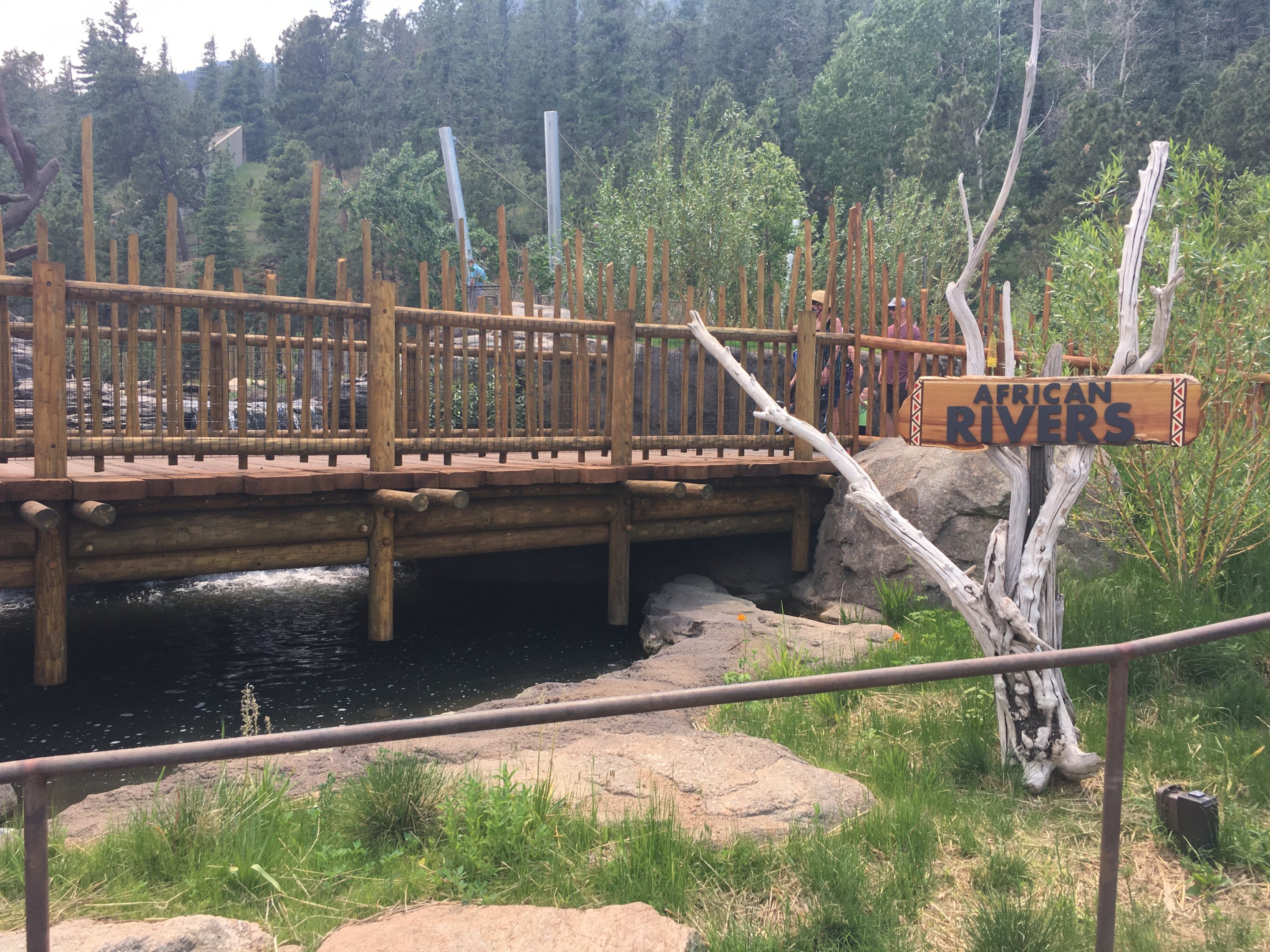 Water’s Edge Africa