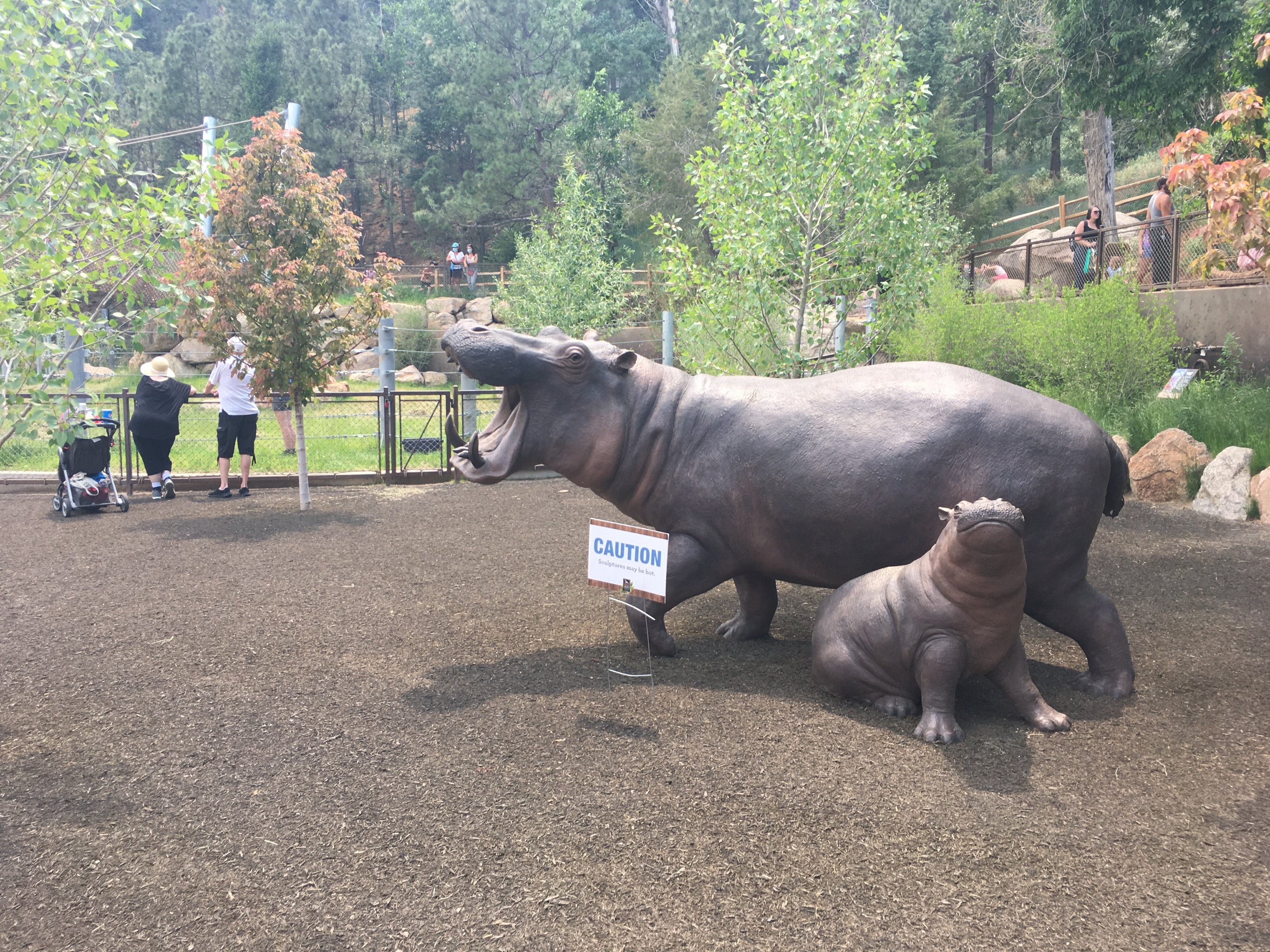 Water’s Edge Africa