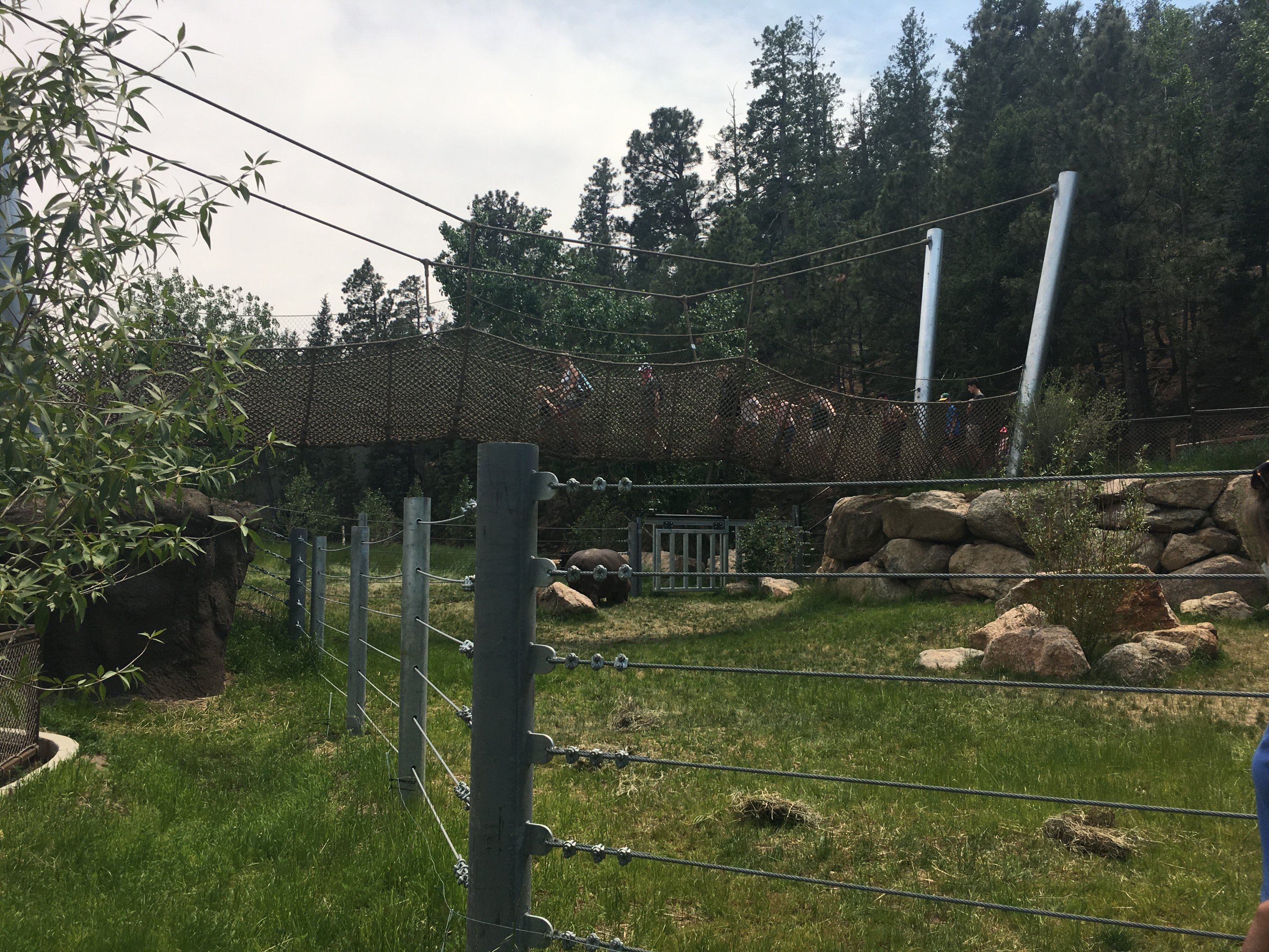 Water’s Edge Africa