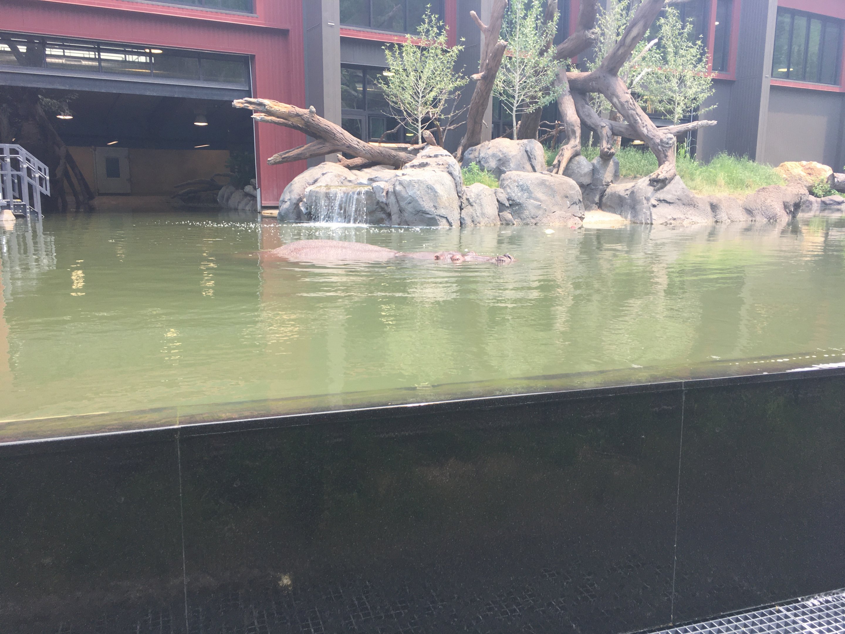 Water’s Edge Africa