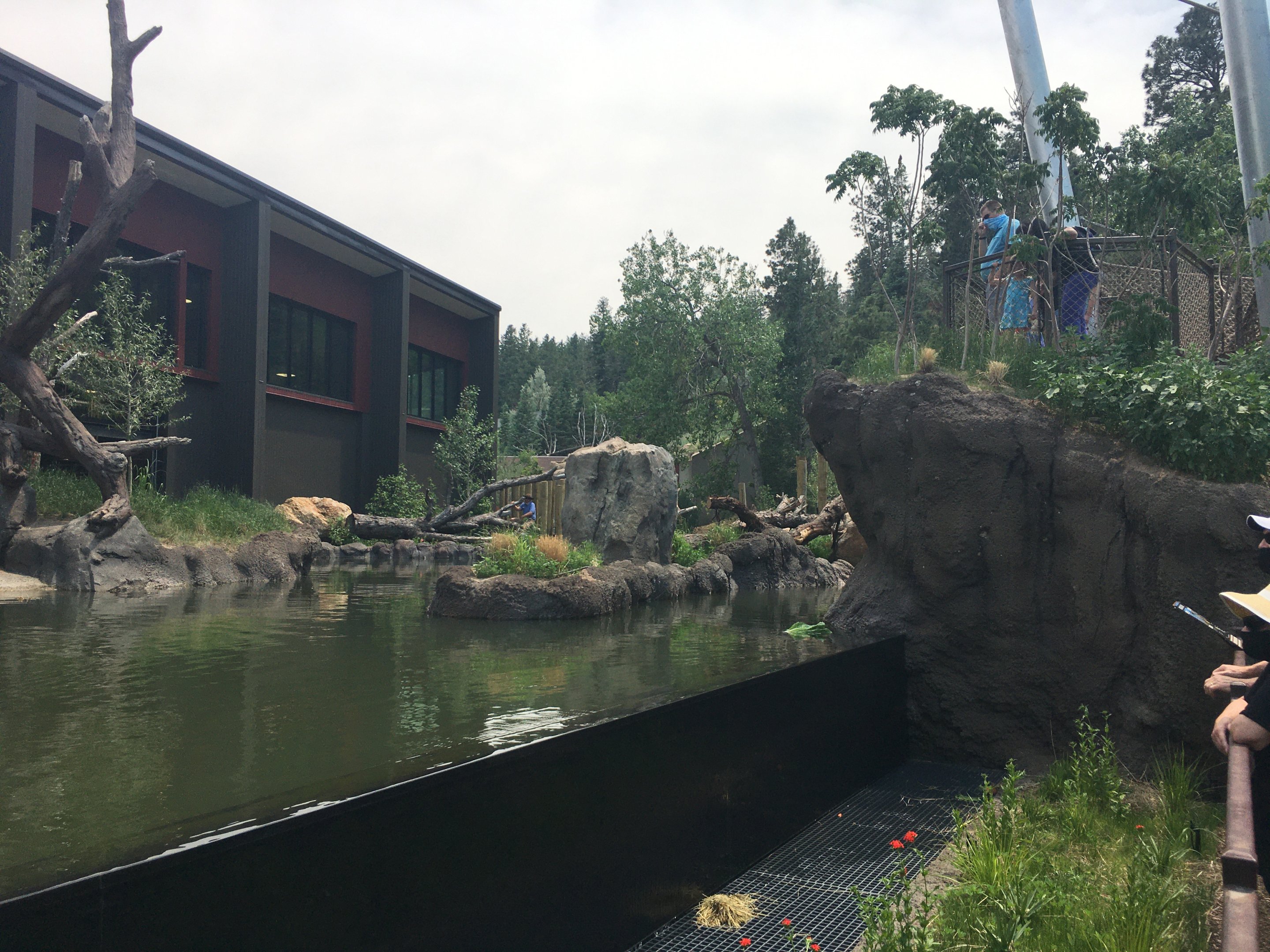 Water’s Edge Africa