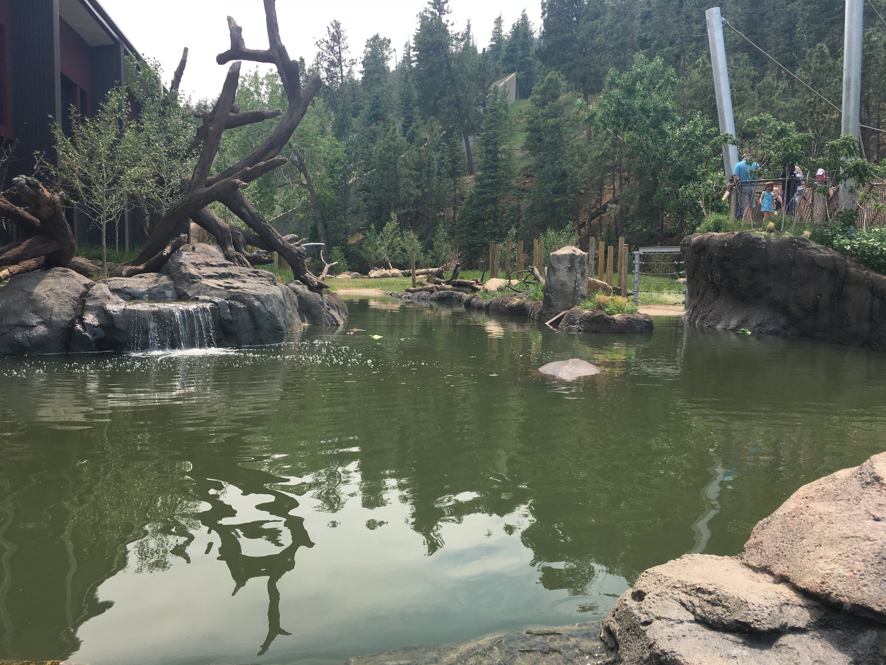 Water’s Edge Africa