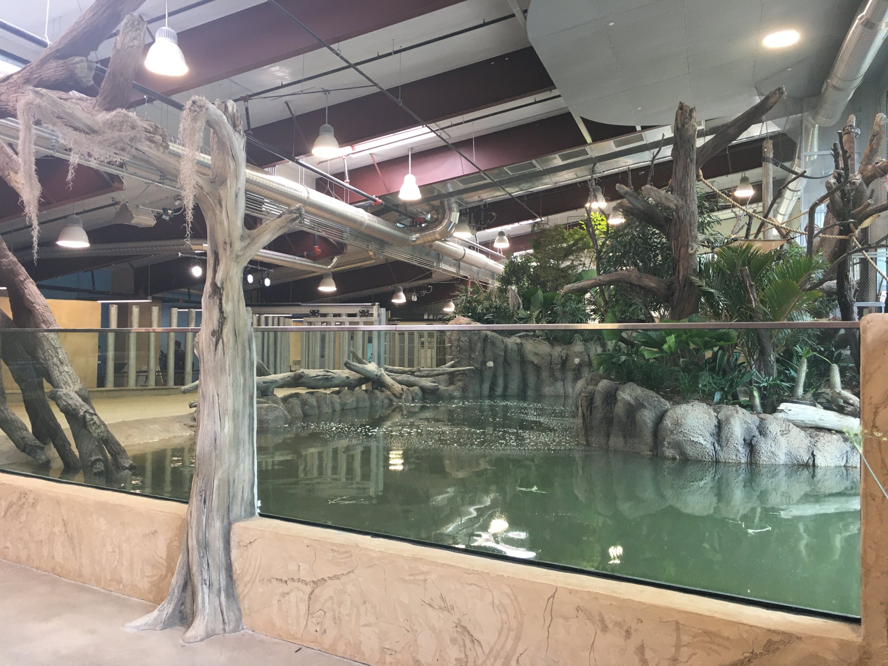 Water’s Edge Africa