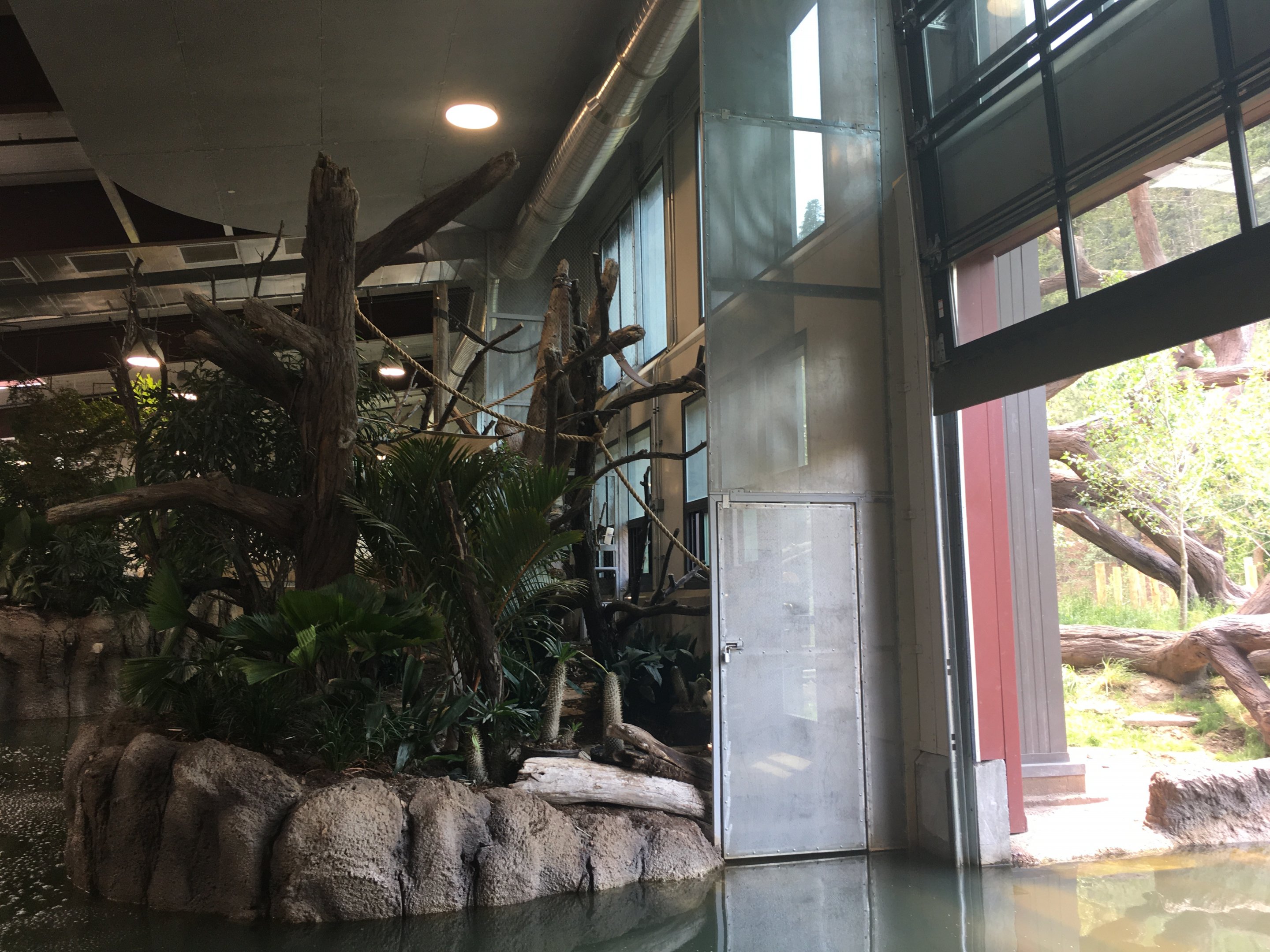 Water’s Edge Africa