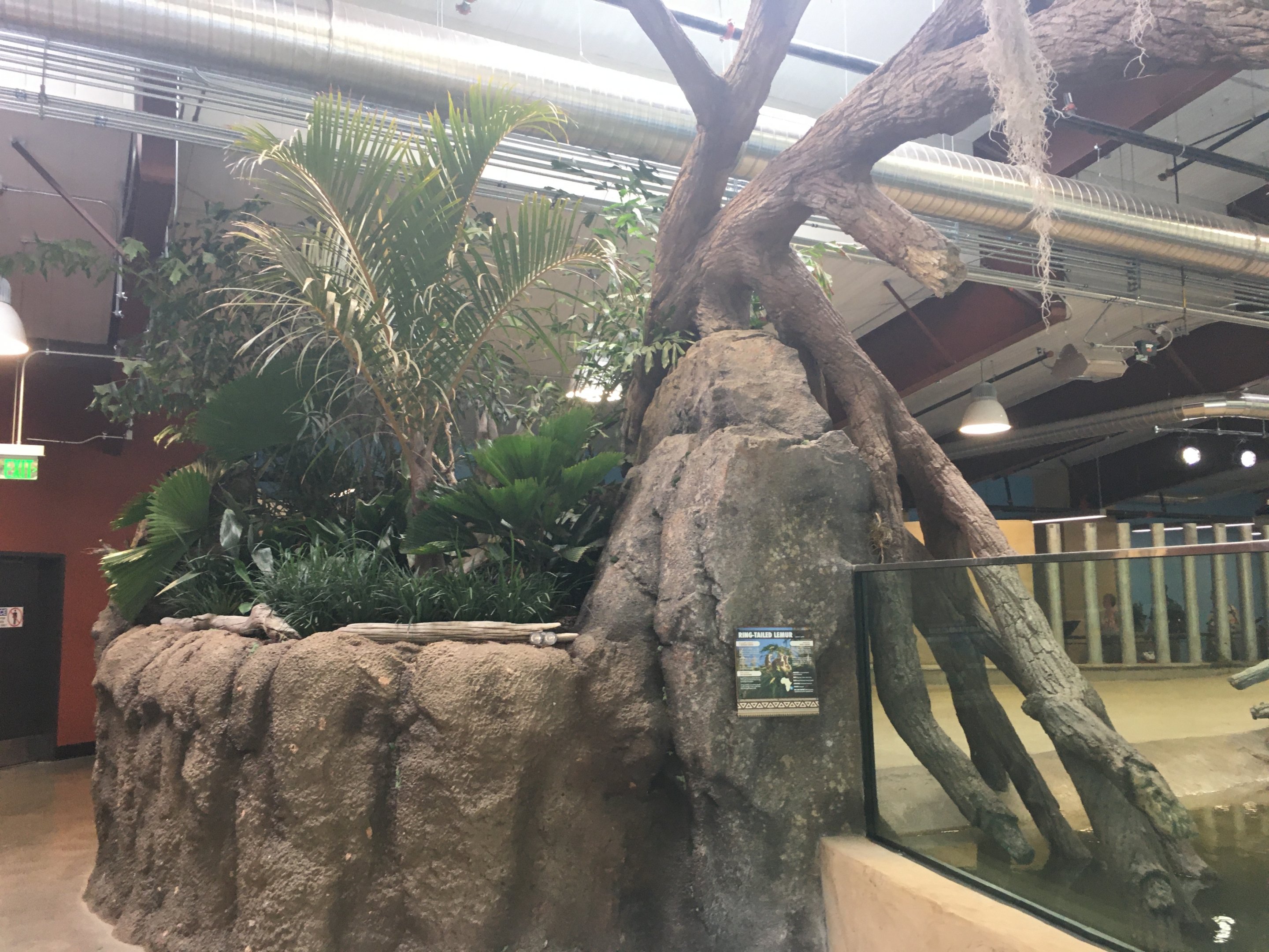 Water’s Edge Africa