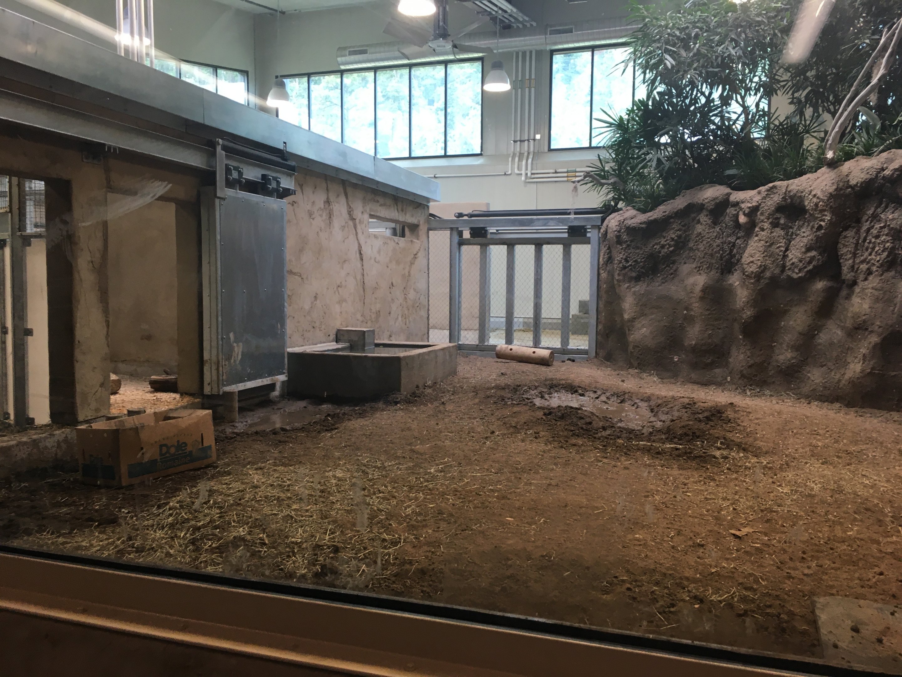 Water’s Edge Africa