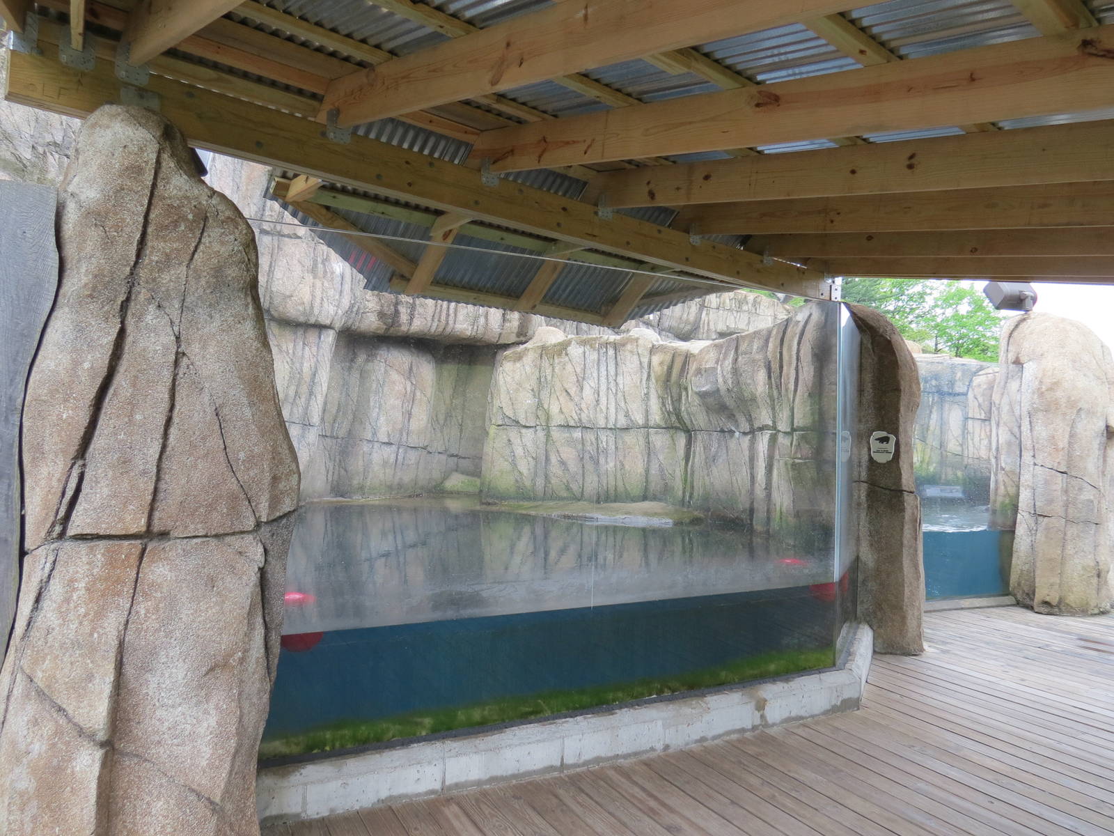 Water's Edge - First Sea Otter Exhibit