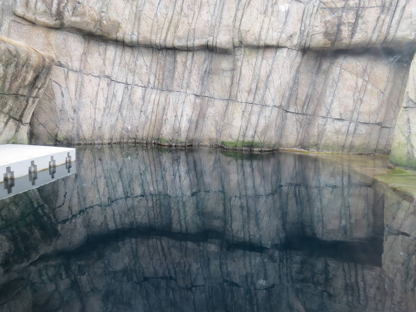 Water's Edge - First Sea Otter Exhibit