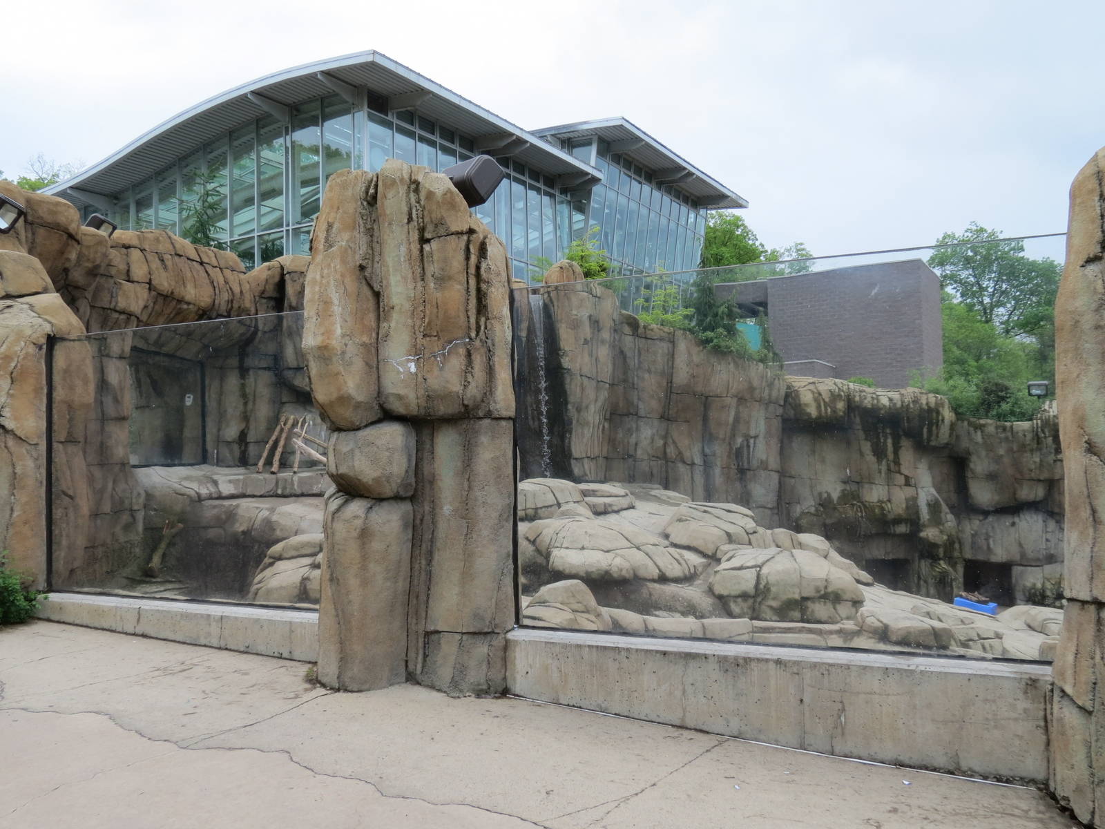 Water's Edge - Polar Bear Exhibit Upper Viewing Area