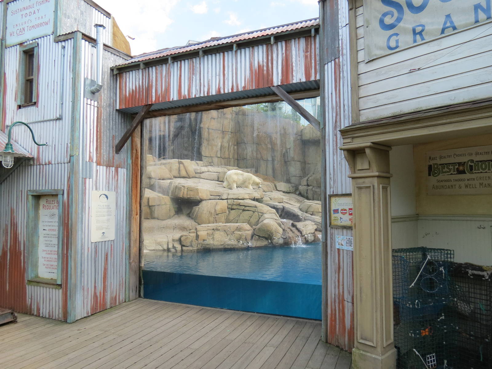 Water's Edge - Polar Bear Exhibit Viewing Window in Pier Town