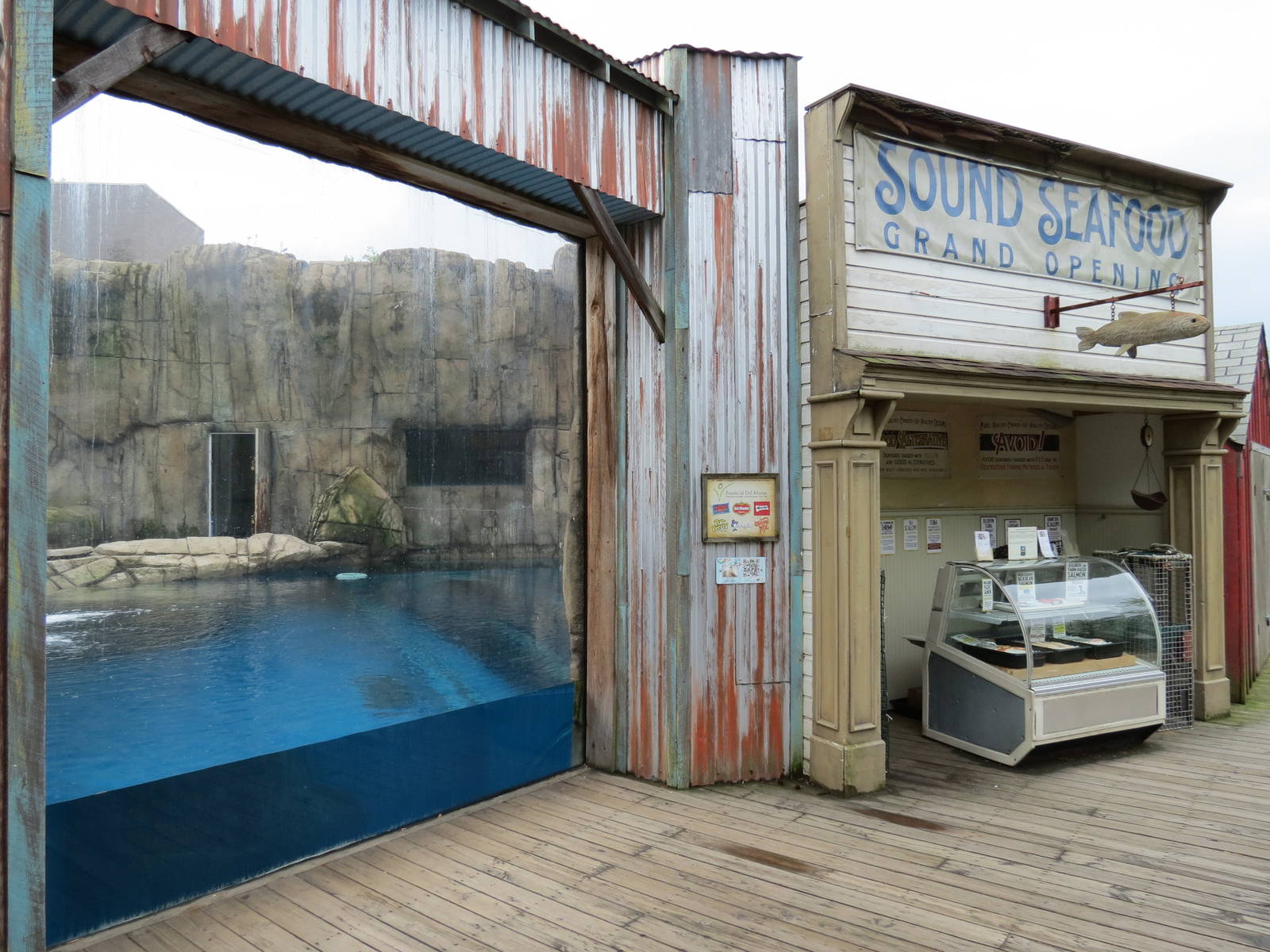 Water's Edge - Polar Bear Exhibit Viewing Window in Pier Town