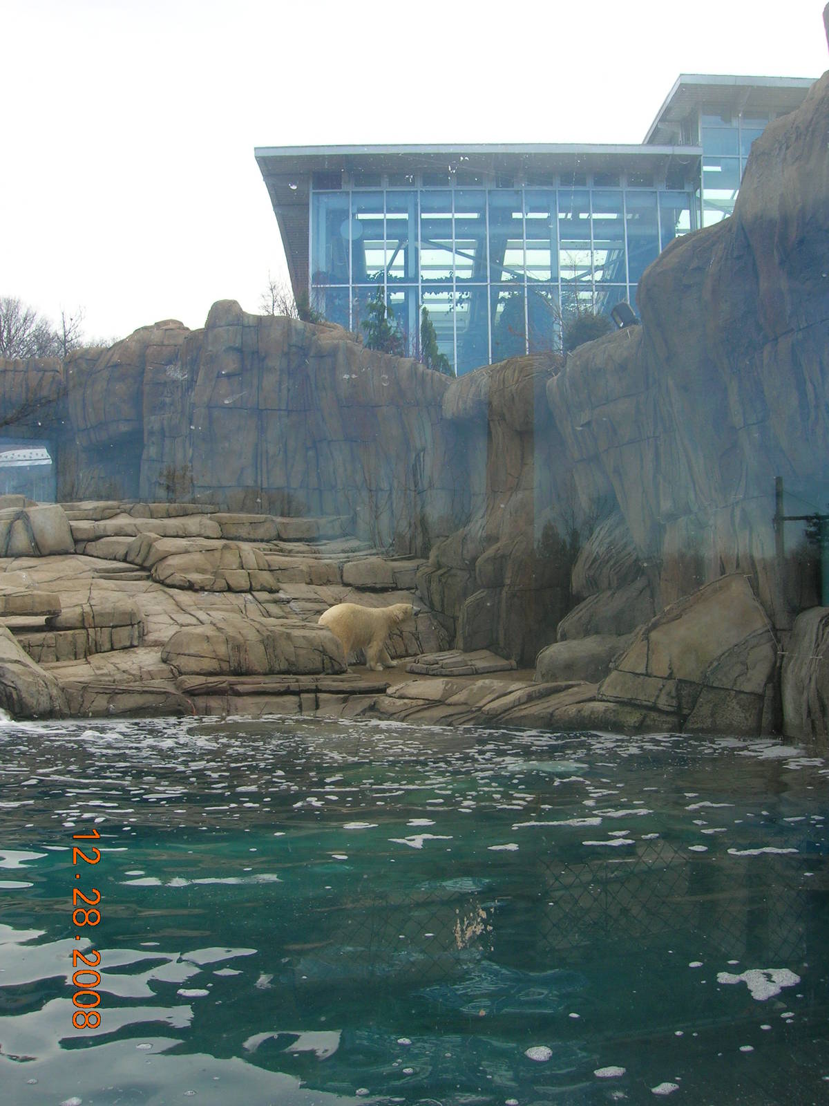 Water's Edge Polar Bear Exhibit with PPG Aquarium