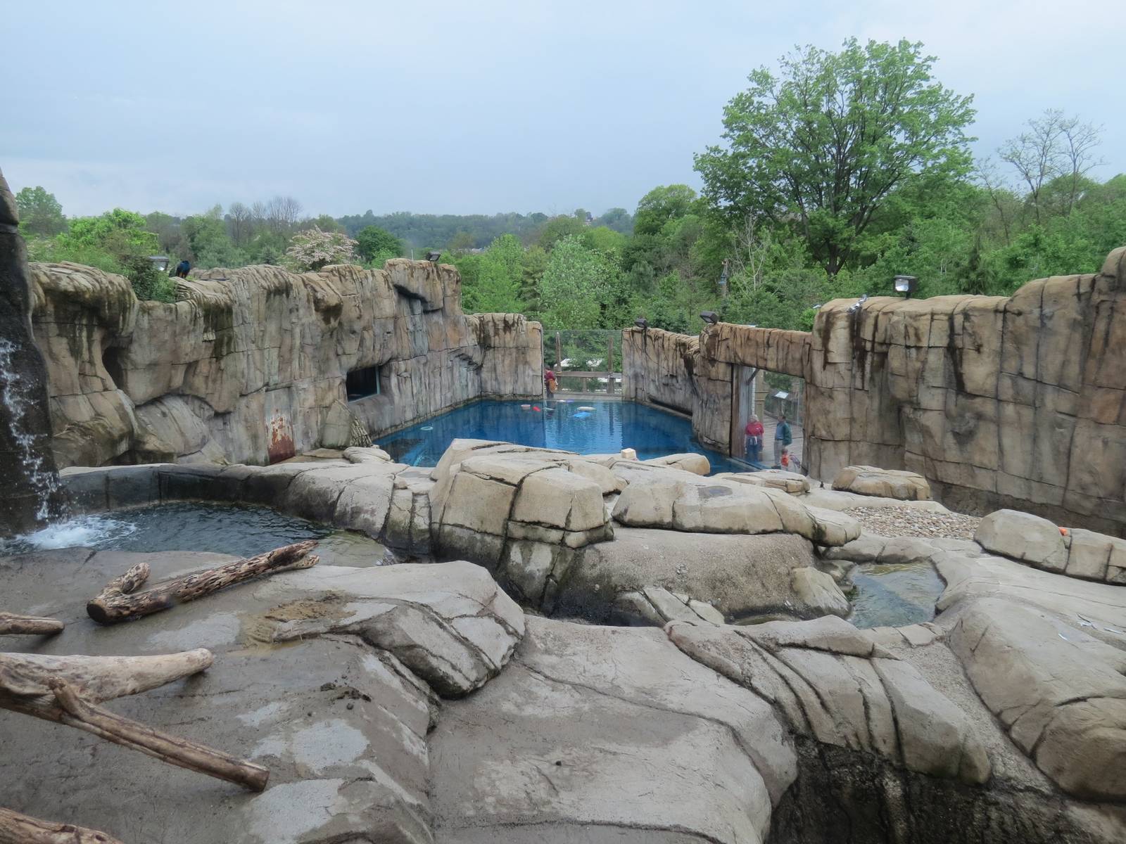 Water's Edge - Polar Bear Exhibit