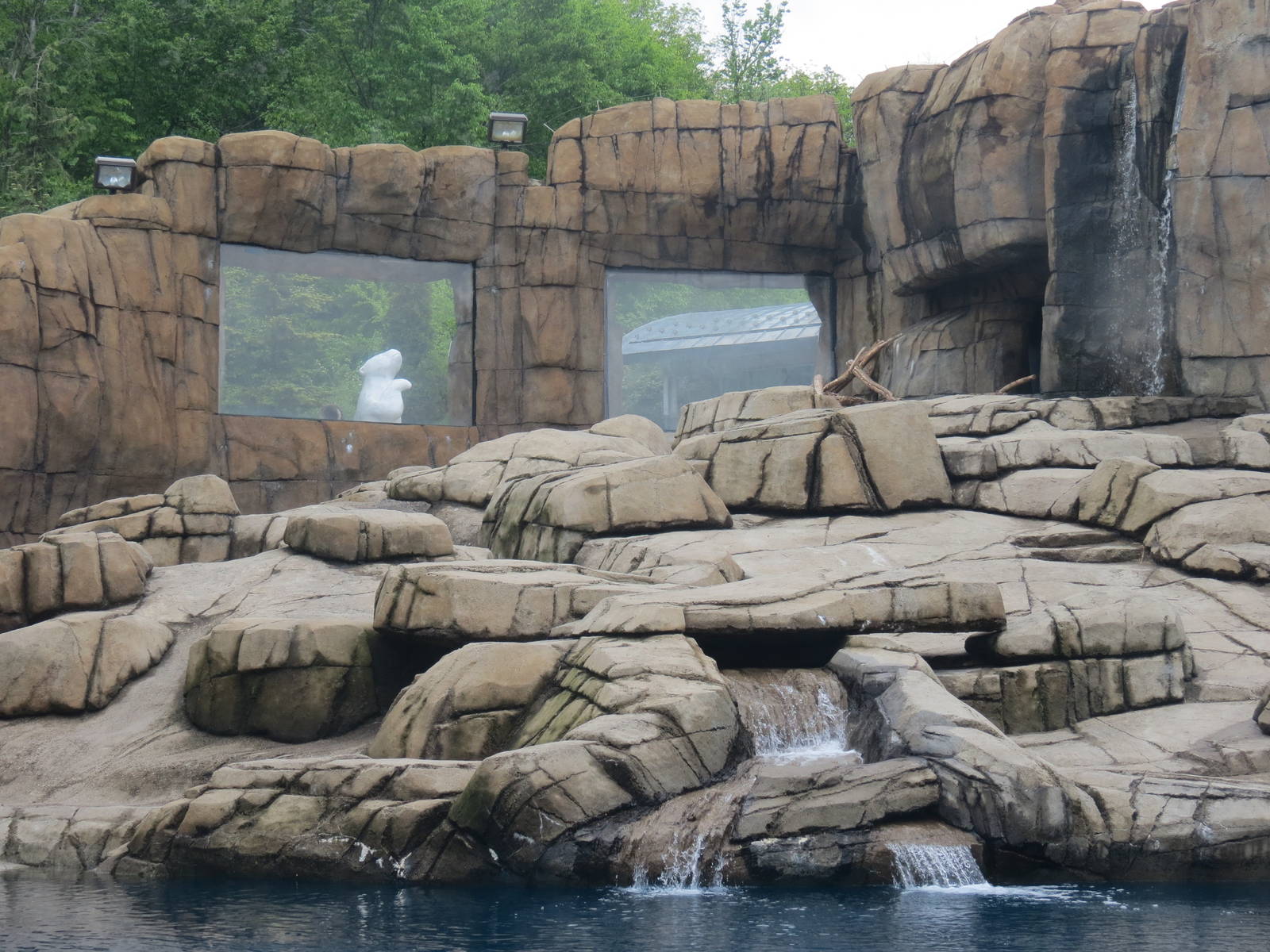 Water's Edge - Polar Bear Exhibit