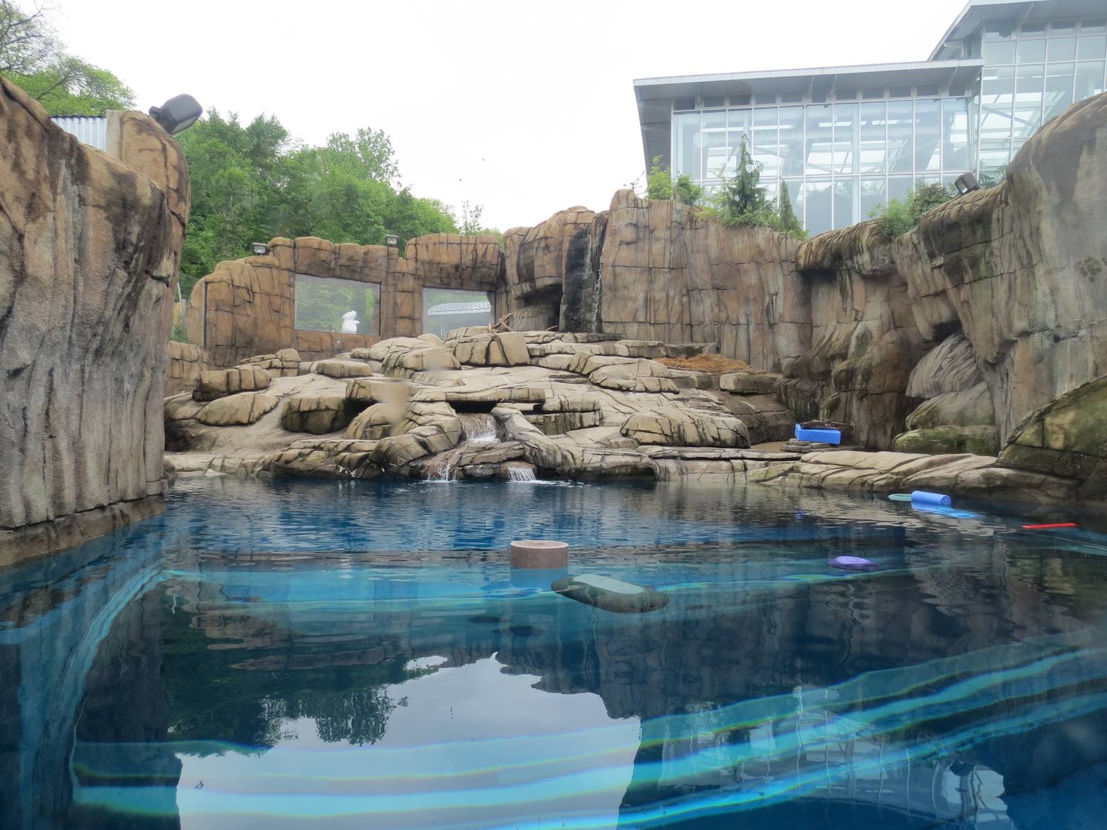 Water's Edge - Polar Bear Exhibit