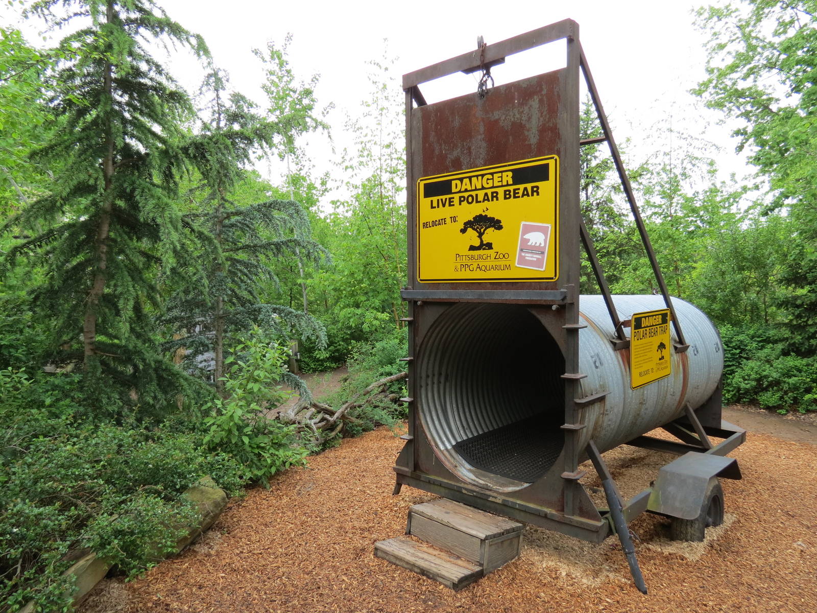 Water's Edge - Polar Bear Trap