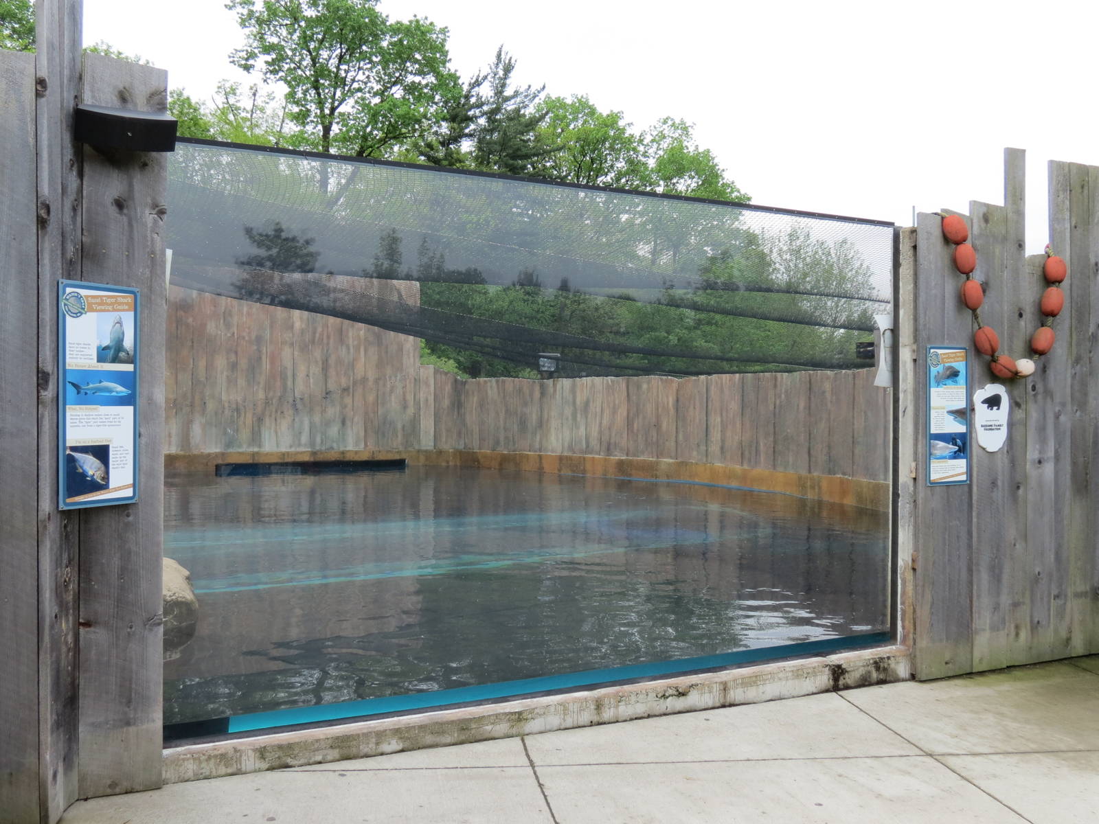 Water's Edge - Sand Tiger Shark Exhibit Surface Viewing Area