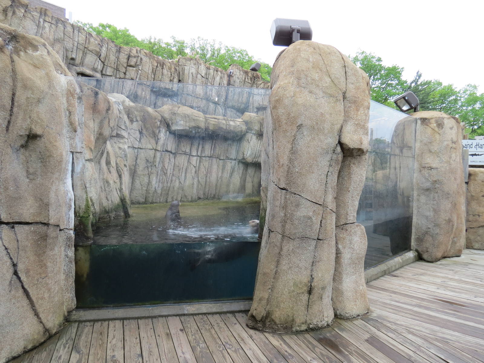 Water's Edge - Second Sea Otter Exhibit