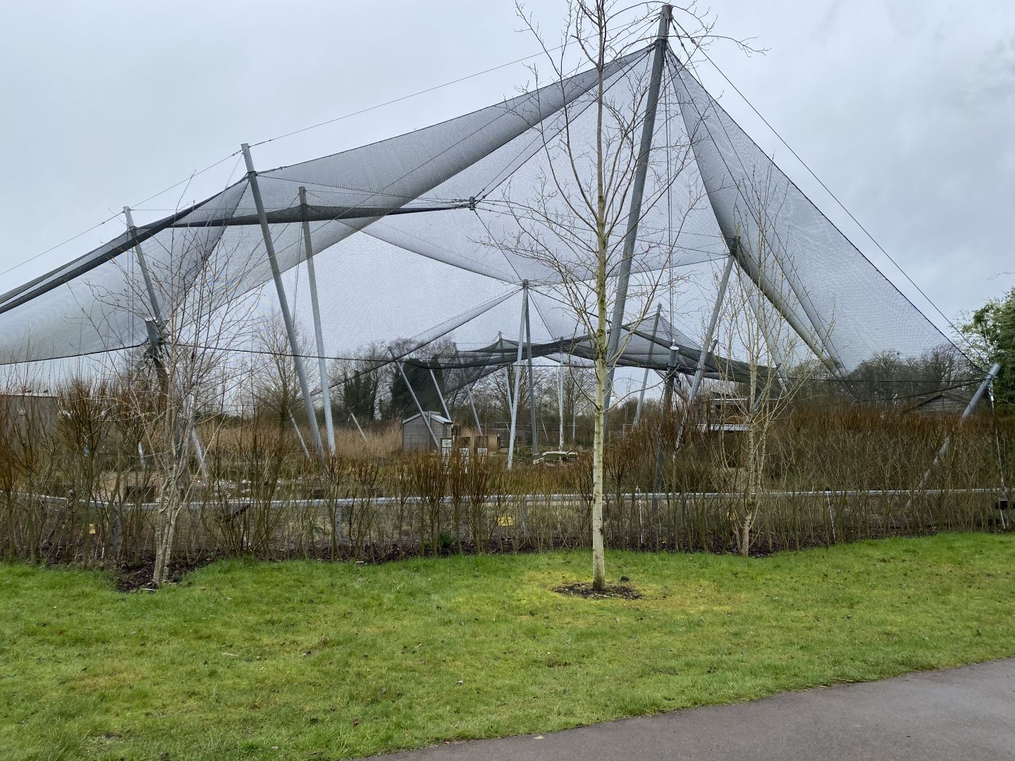 Waterscapes Aviary 290224