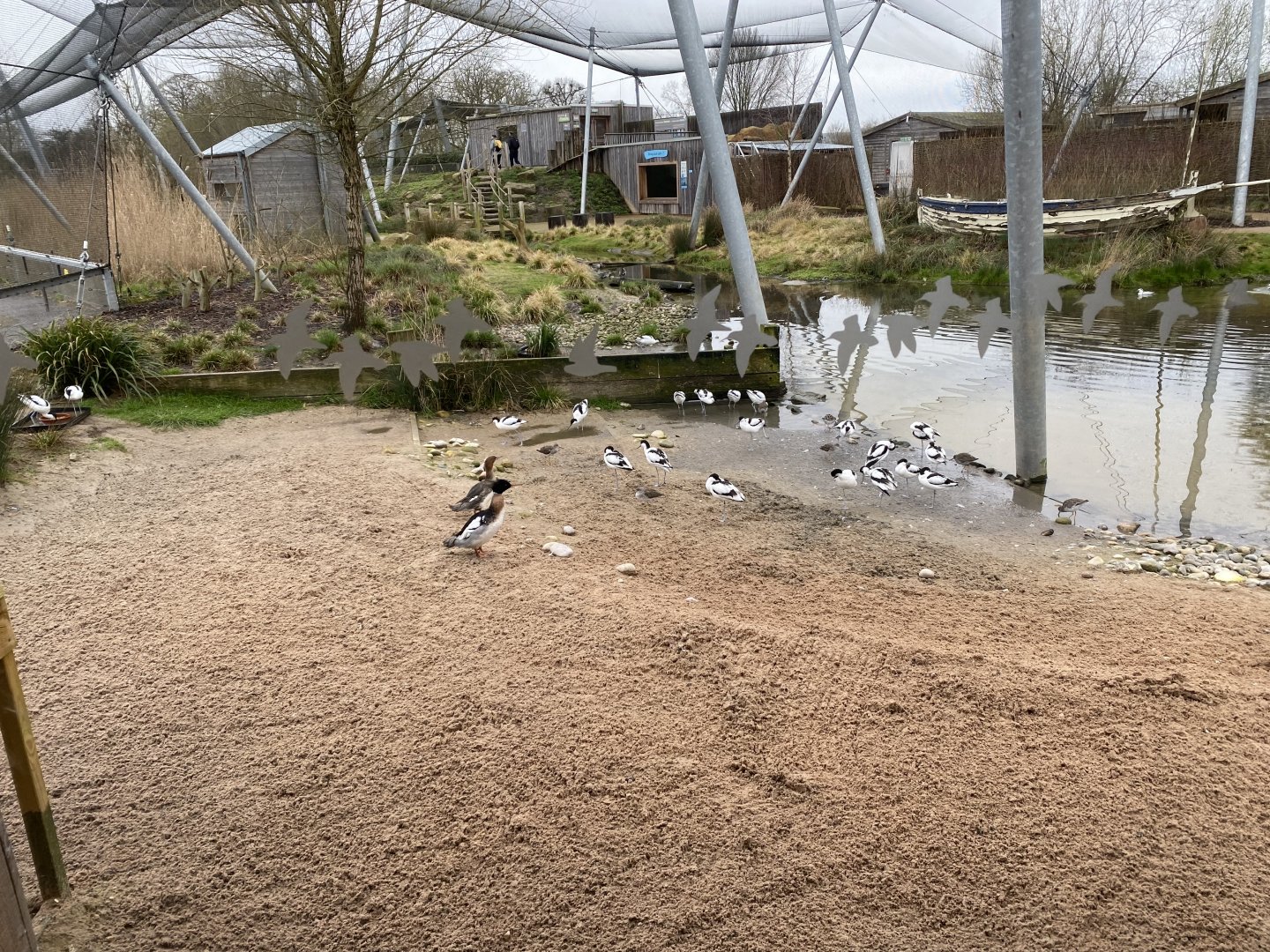 Waterscapes Aviary 290224