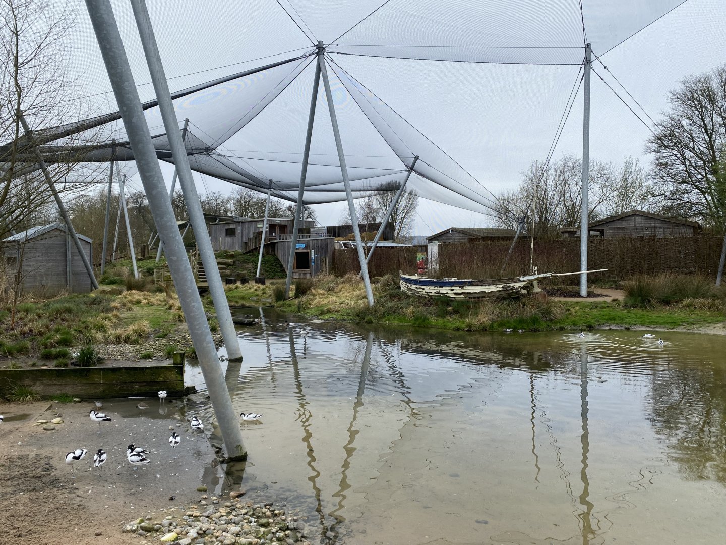 Waterscapes Aviary 290224