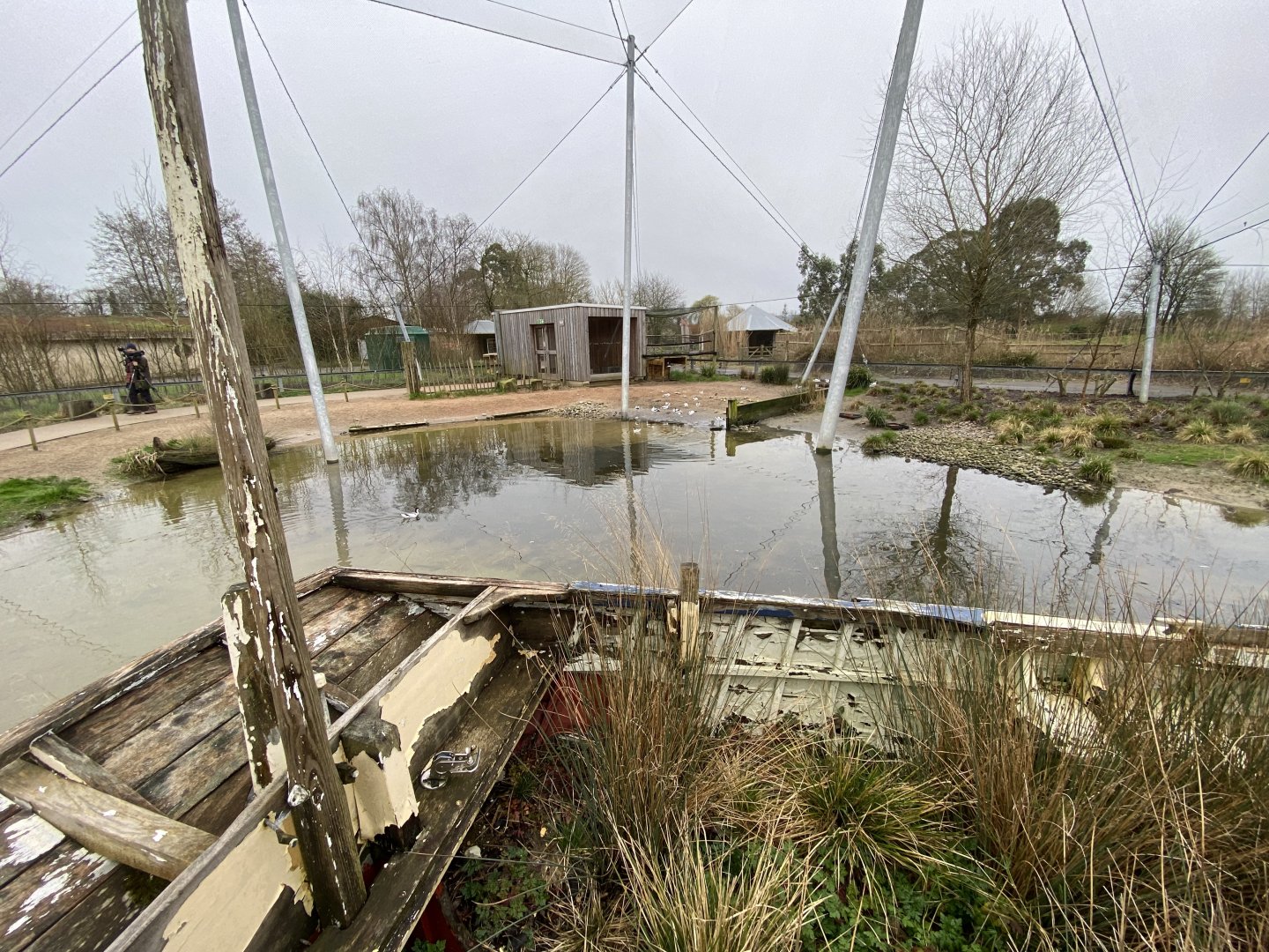 Waterscapes Aviary 290224