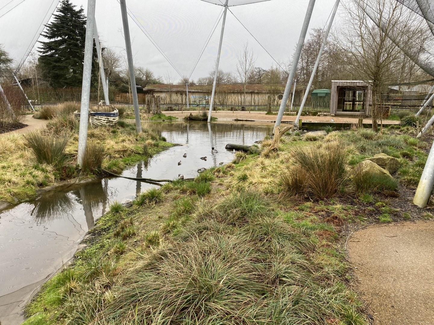 Waterscapes Aviary 290224