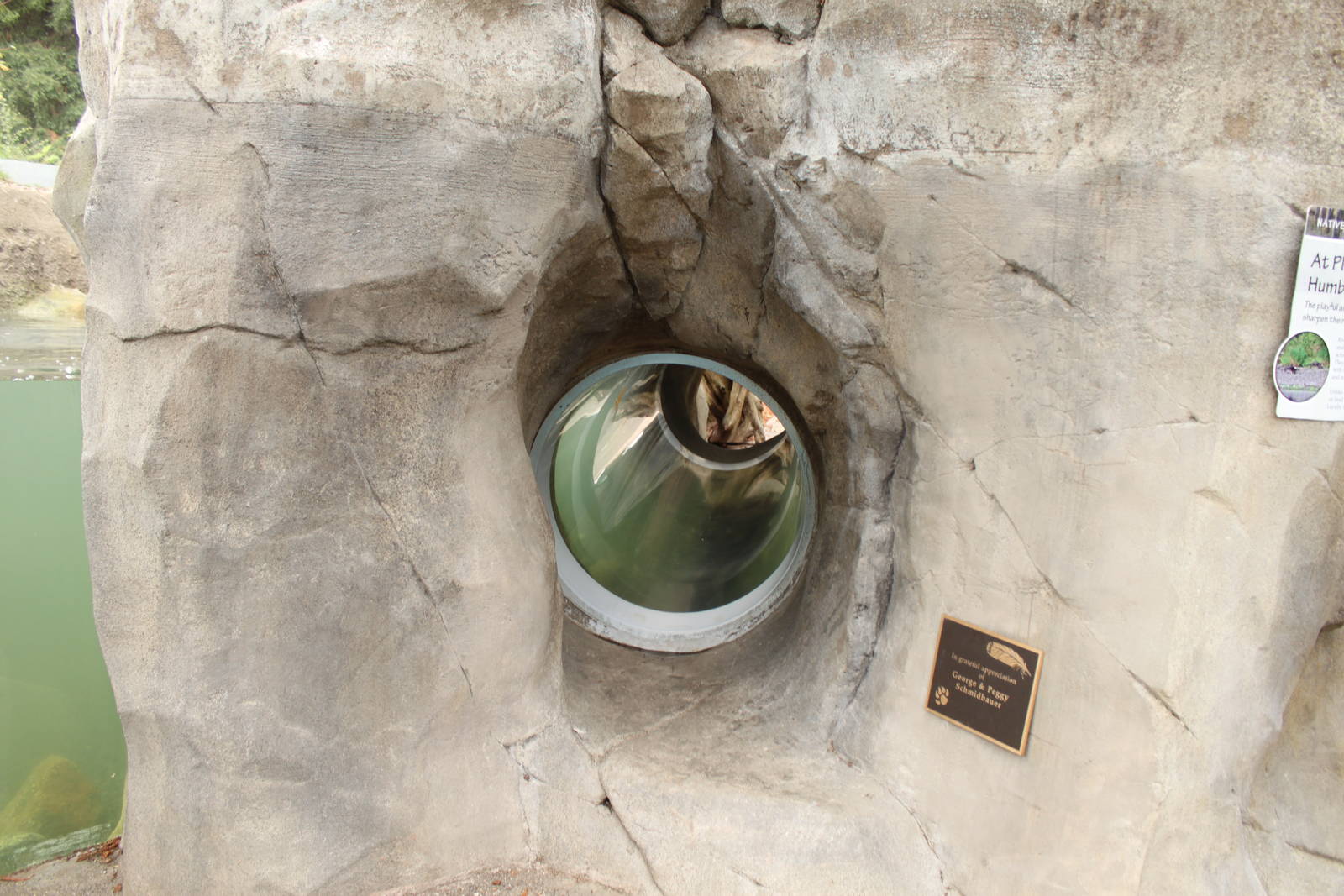 Watershed Heroes - Crawl Through Acrylic Tunnel