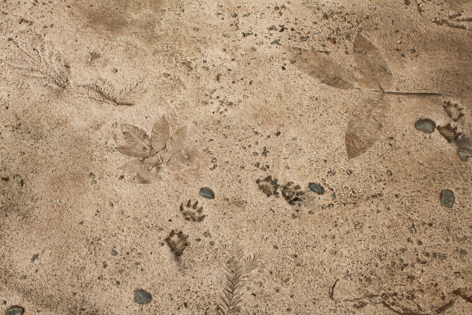 Watershed Heroes - Flooring Texture