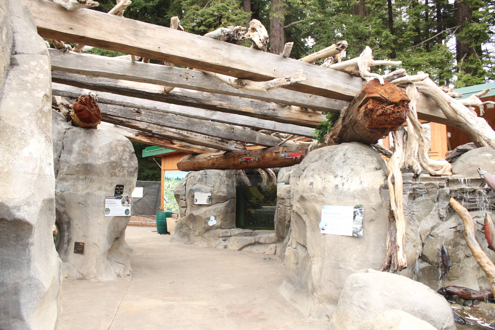 Watershed Heroes - Main Viewing Area