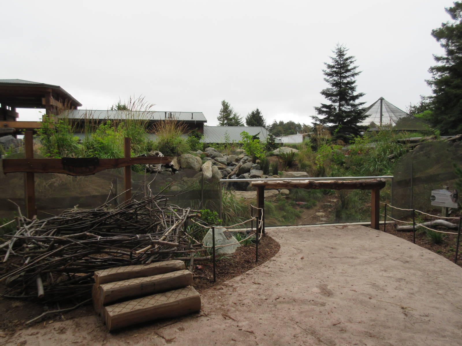 Watershed Heroes - North American River Otter Exhibit + Bald Eagle Nest