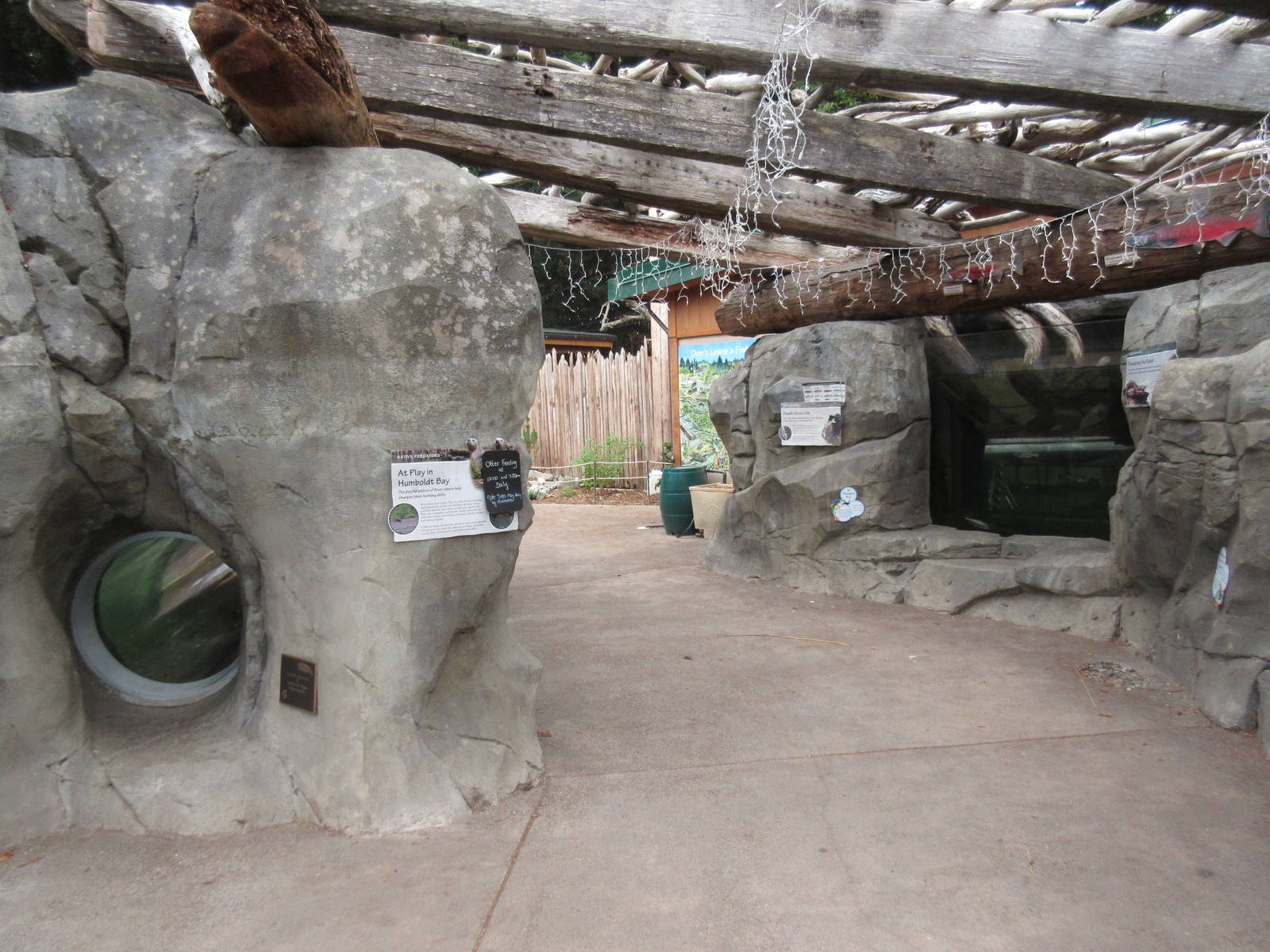 Watershed Heroes - North American River Otter Exhibit + Fish Tank