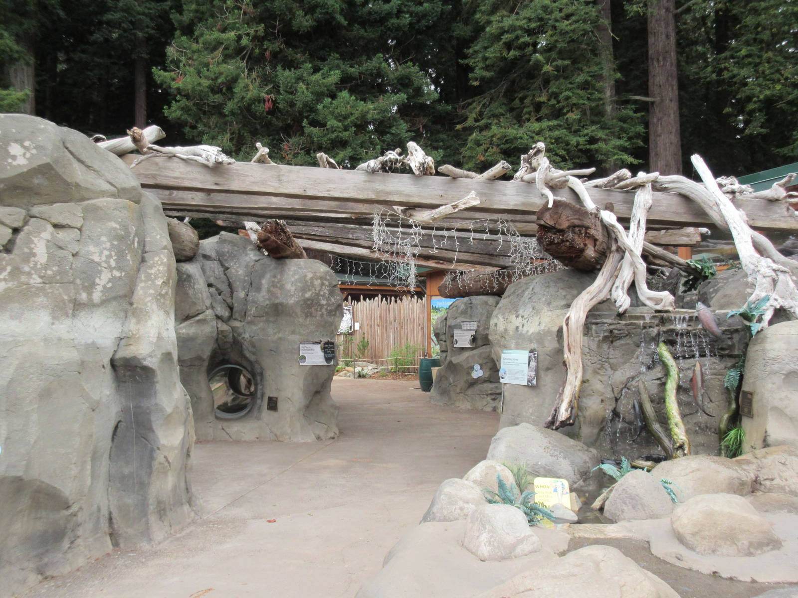Watershed Heroes - North American River Otter Exhibit