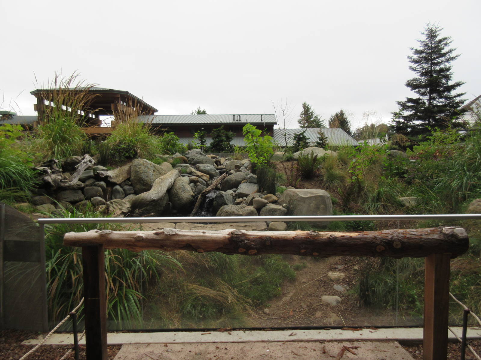 Watershed Heroes - North American River Otter Exhibit
