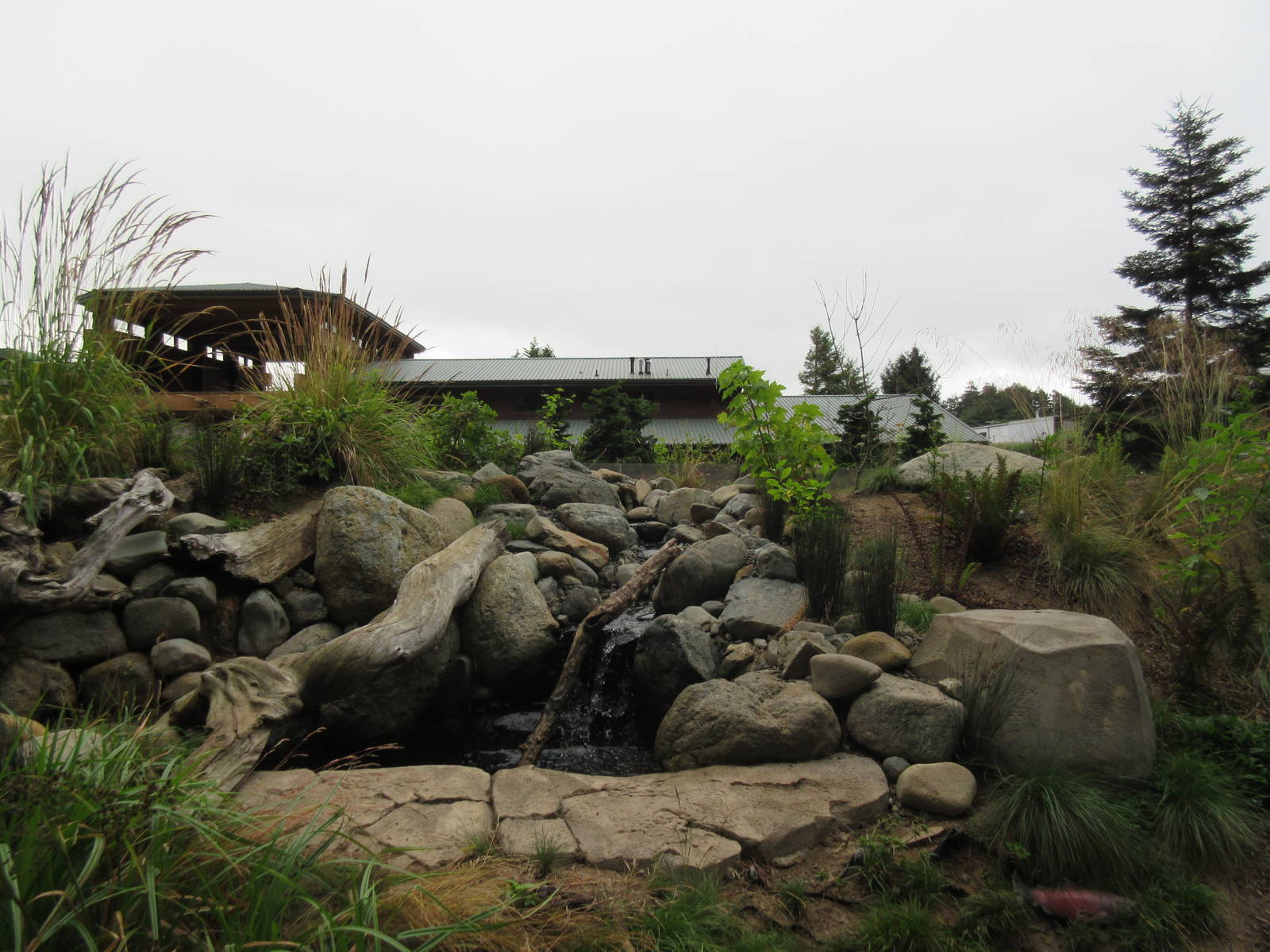 Watershed Heroes - North American River Otter Exhibit