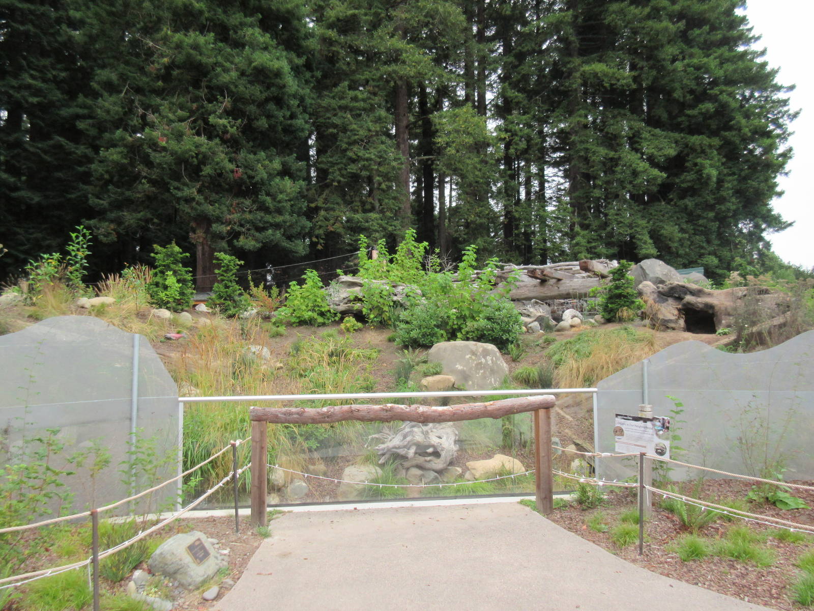 Watershed Heroes - North American River Otter Exhibit
