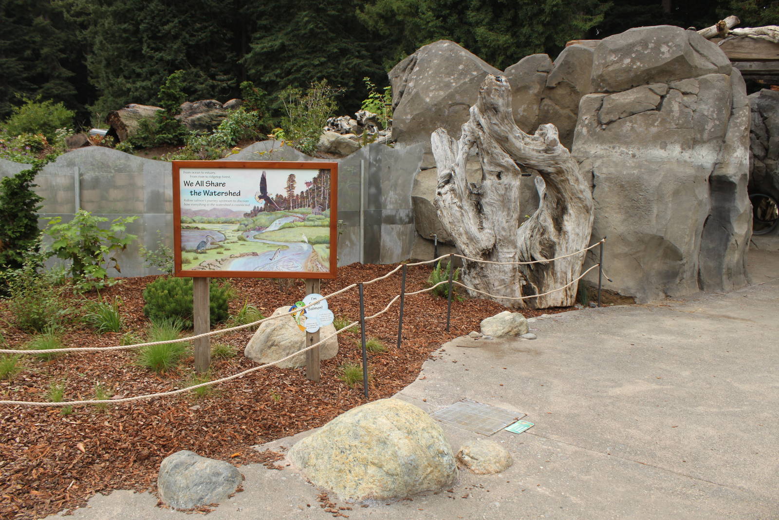 Watershed Heroes - Otter Exhibit