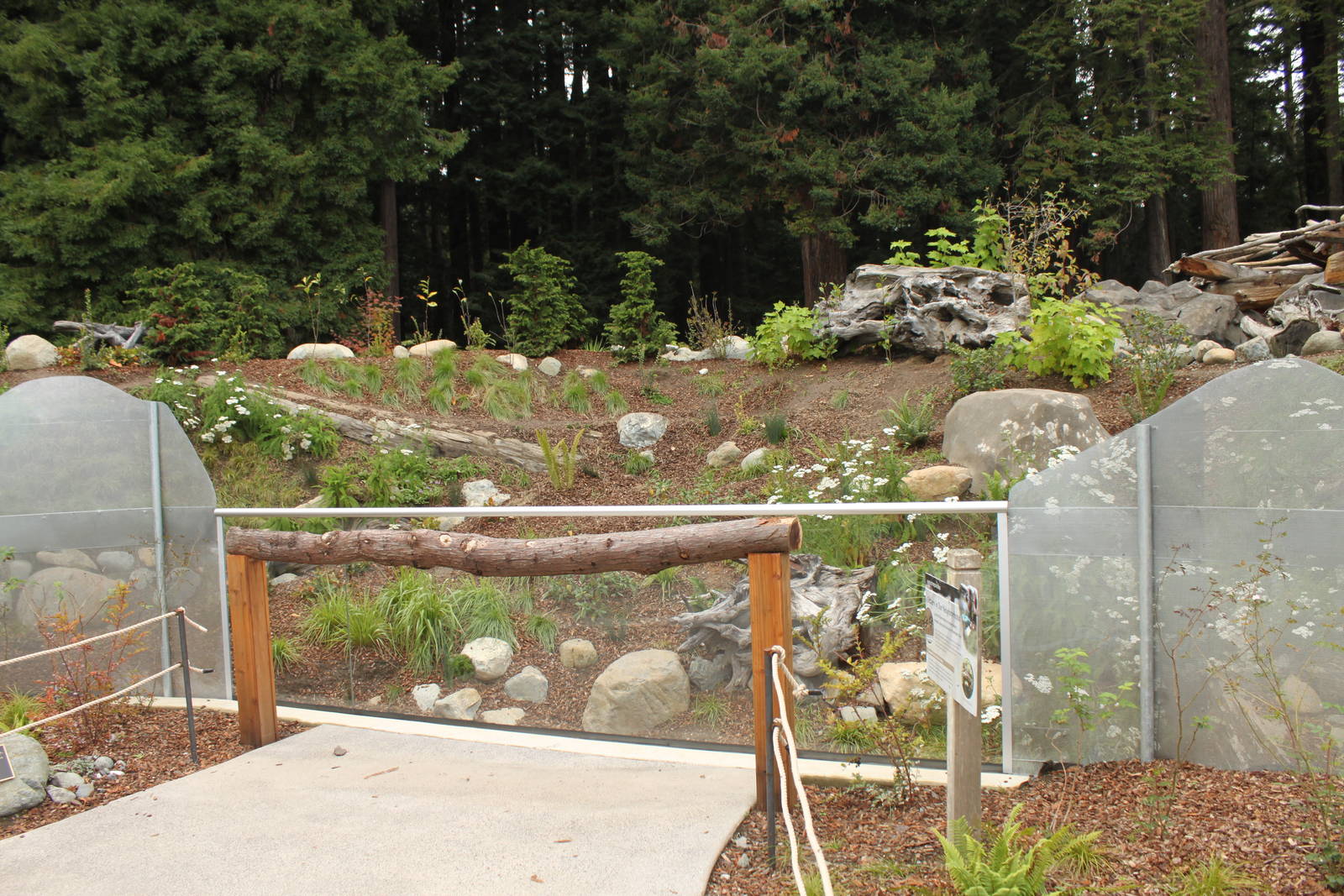 Watershed Heroes - River Otter Exhibit