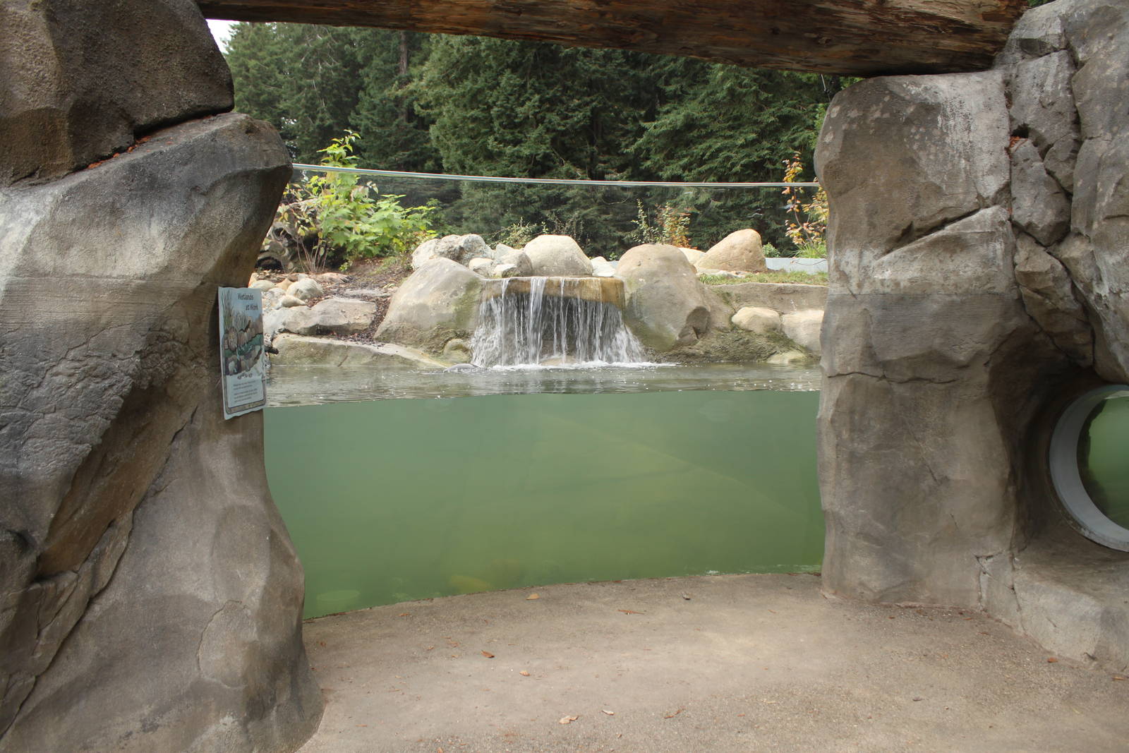 Watershed Heroes - River Otter Exhibit