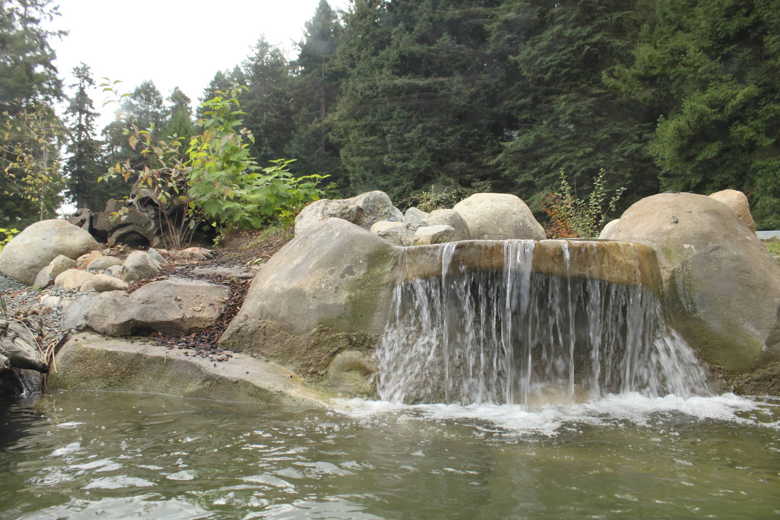 Watershed Heroes - River Otter Exhibit
