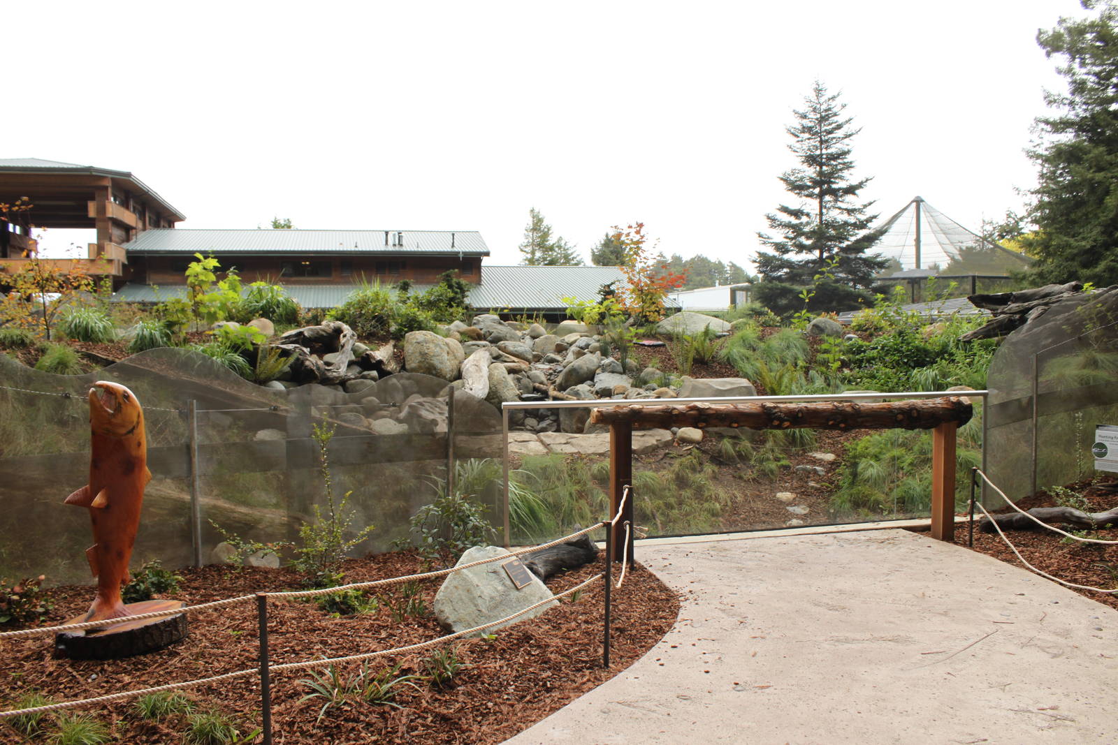 Watershed Heroes - River Otter Exhibit