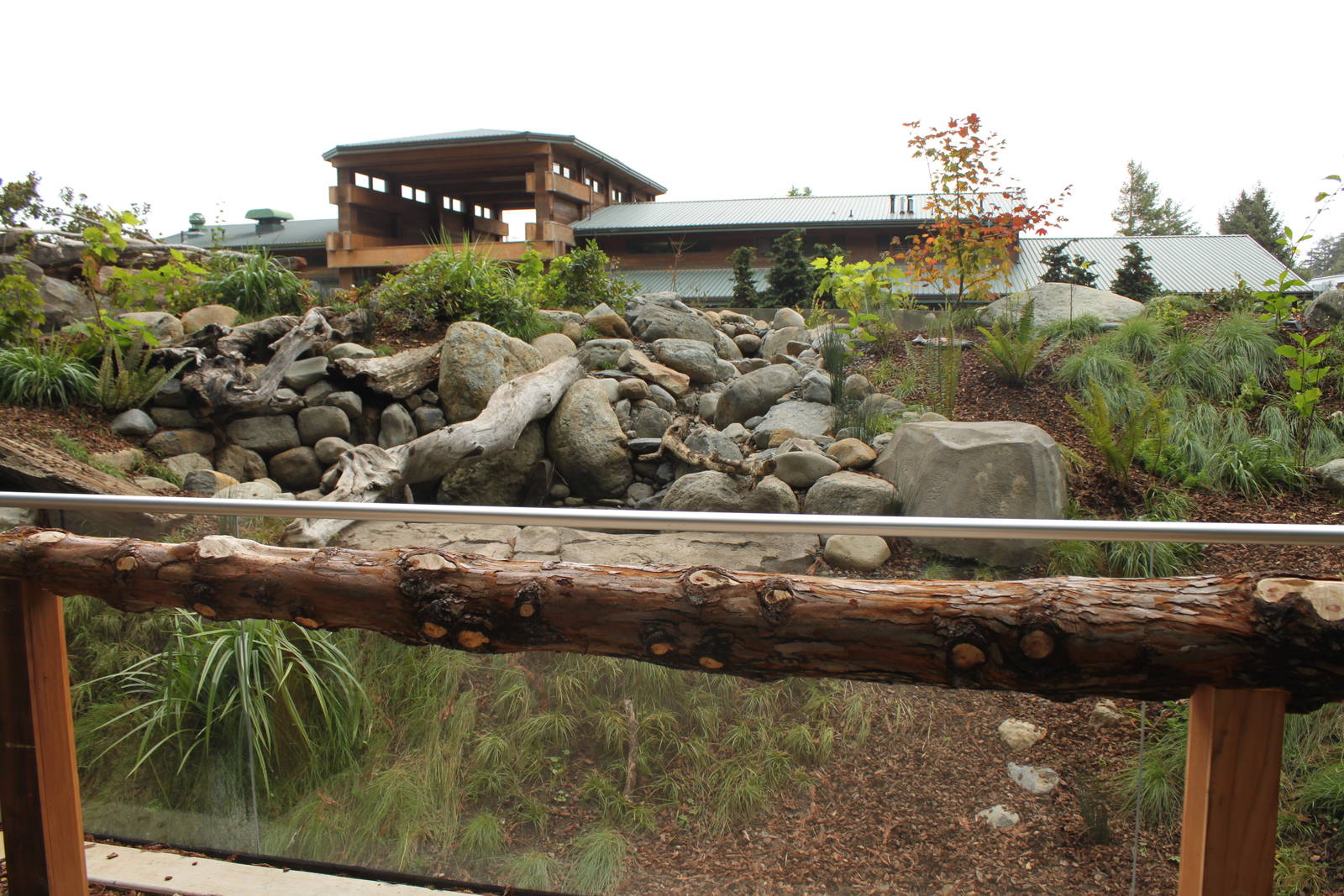 Watershed Heroes - River Otter Exhibit