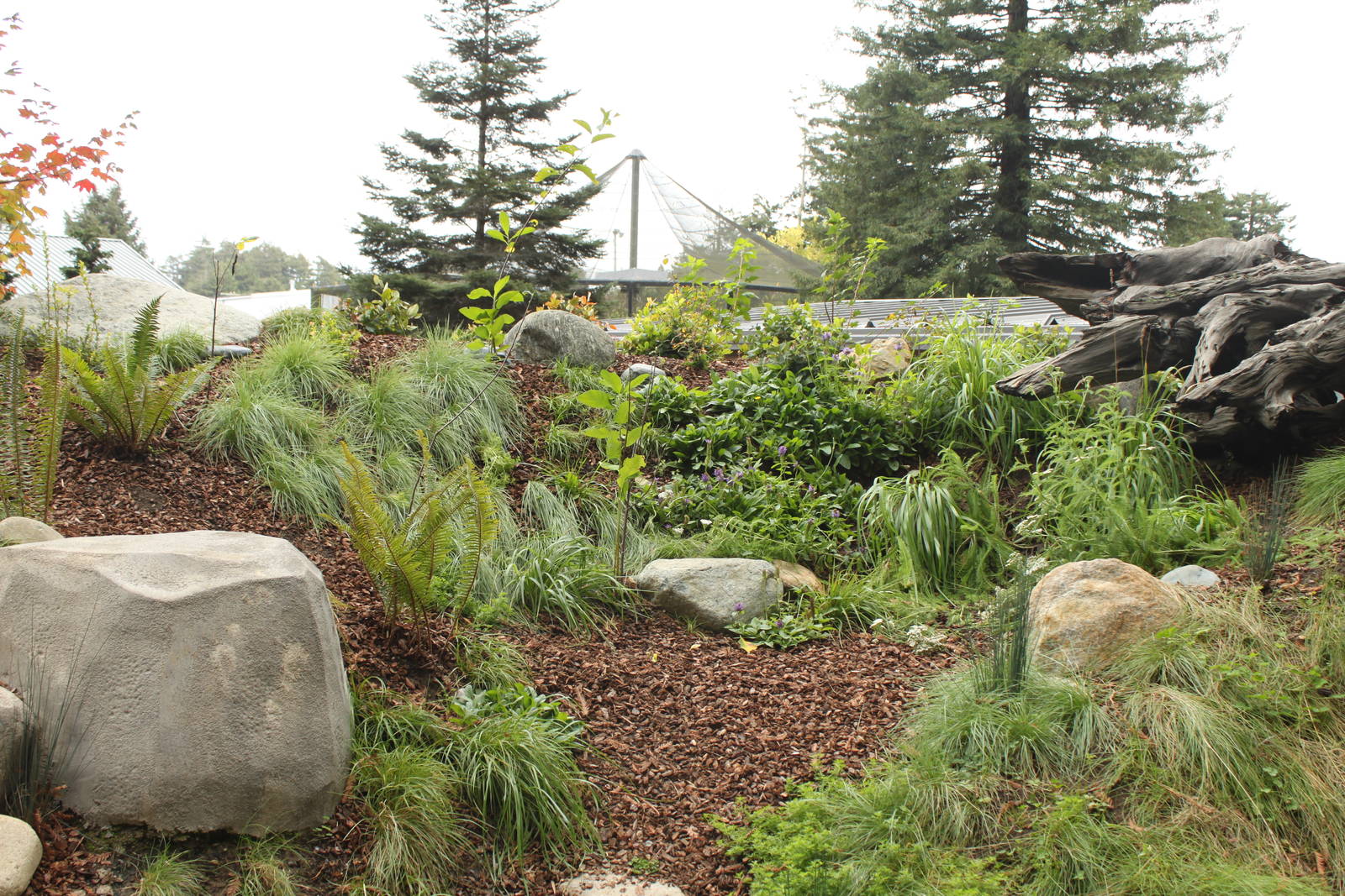 Watershed Heroes - River Otter Exhibit