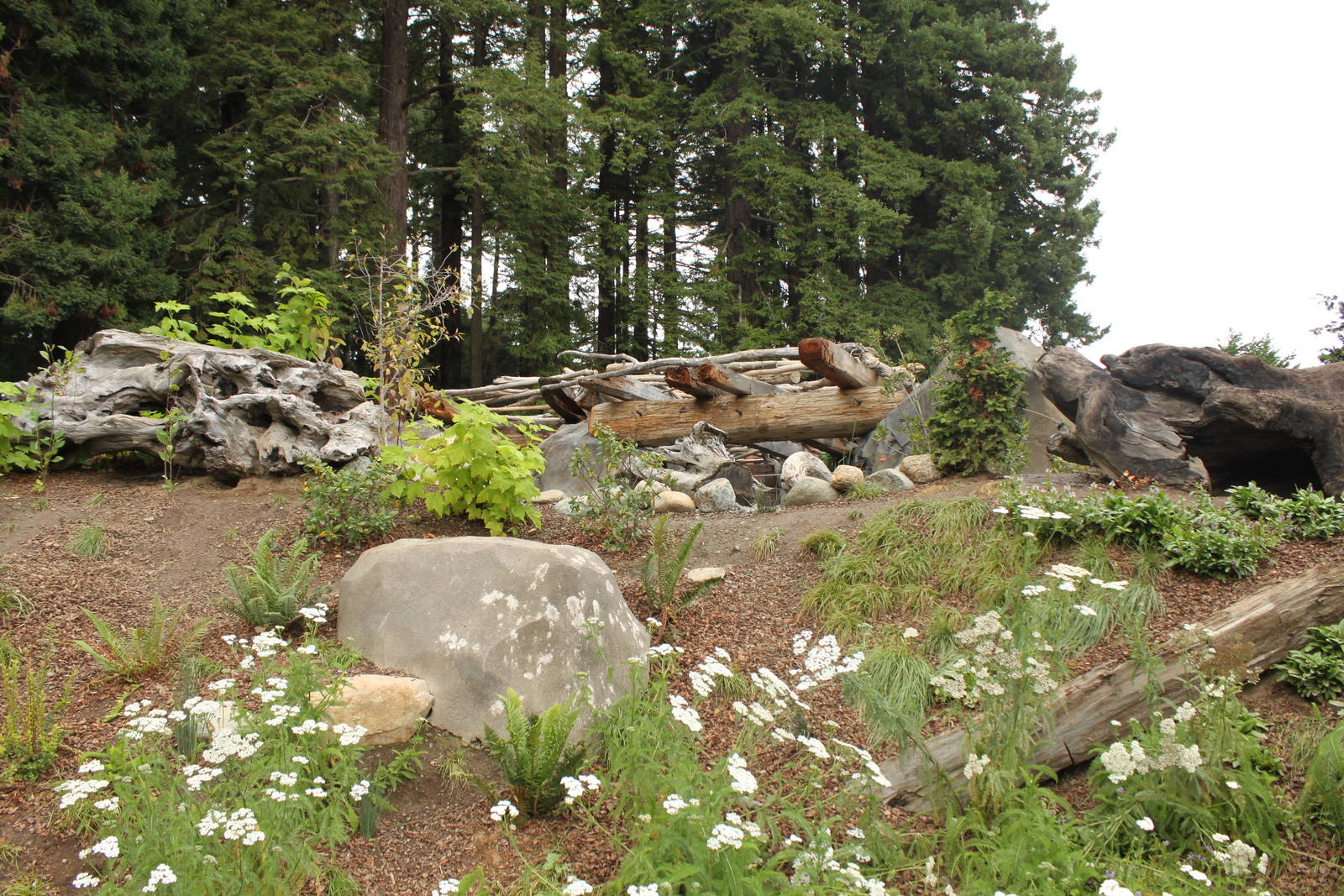 Watershed Heroes - River Otter Exhibit