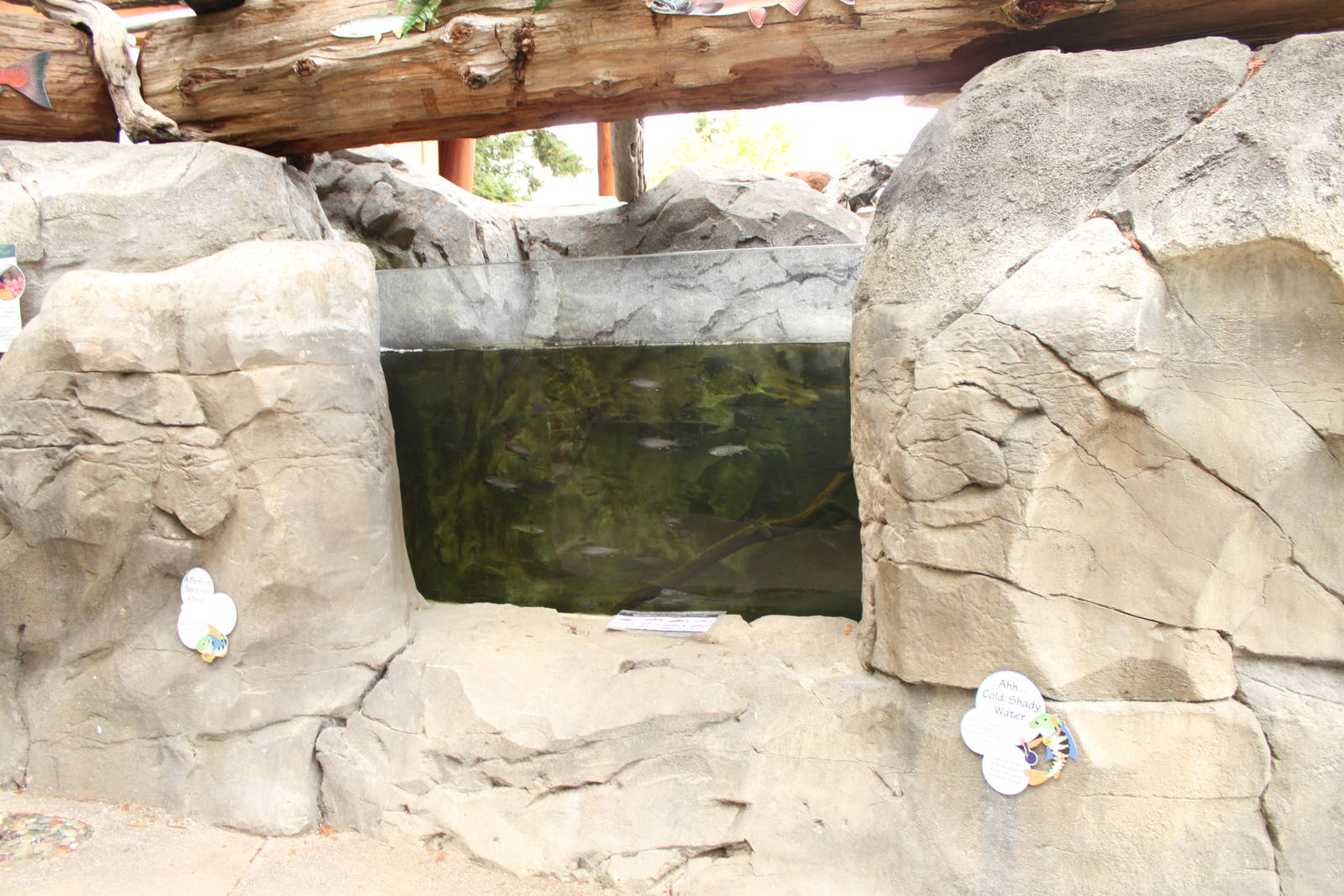 Watershed Heroes - Salmon Exhibit