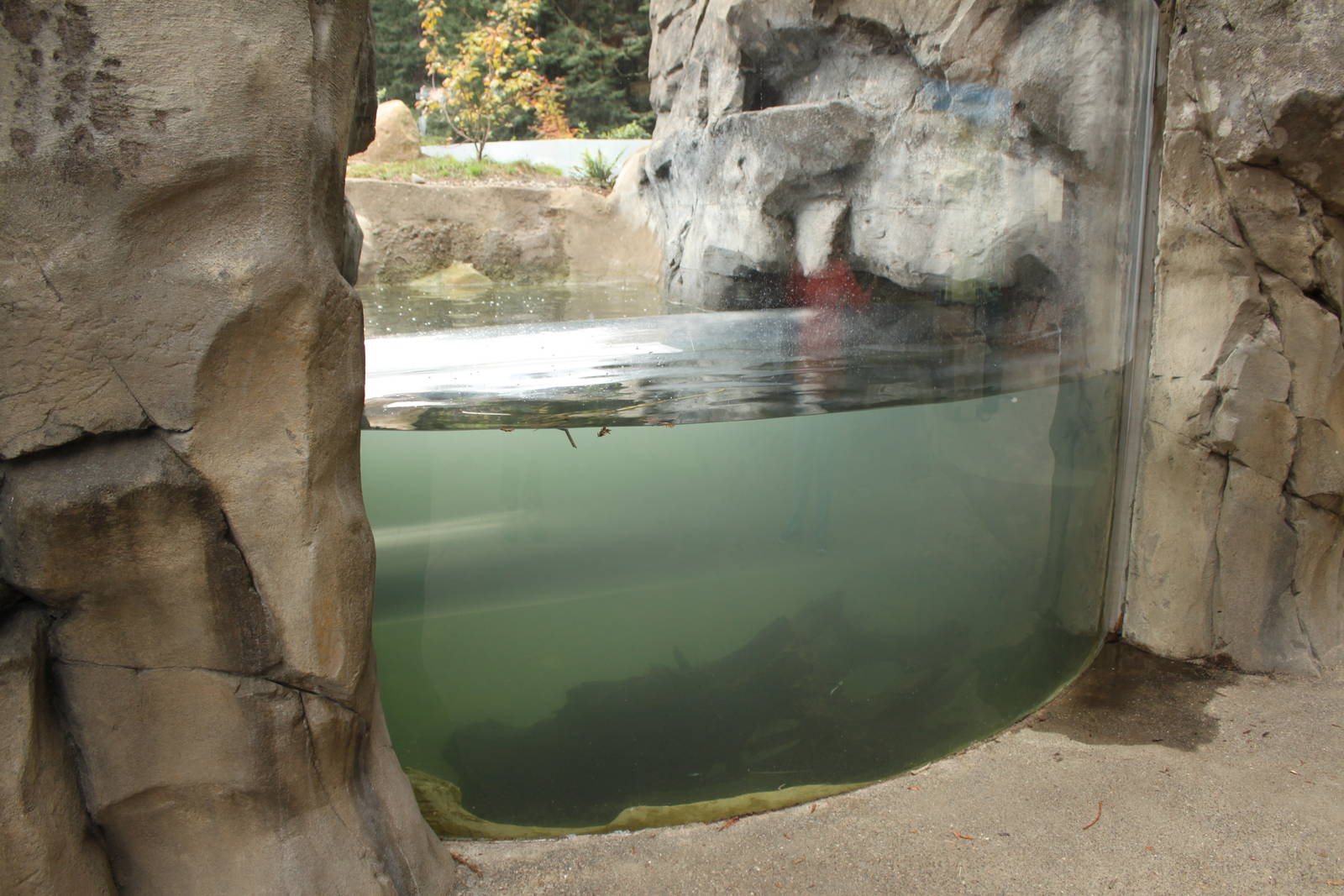 Watershed Heroes - Window to Acrylic Tunnel