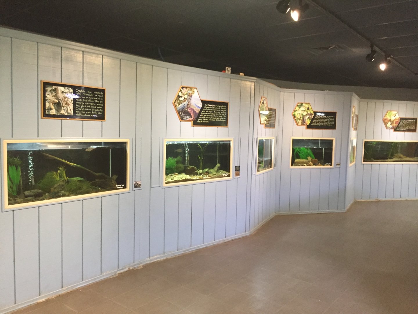 Watershed Room - Smaller Tanks